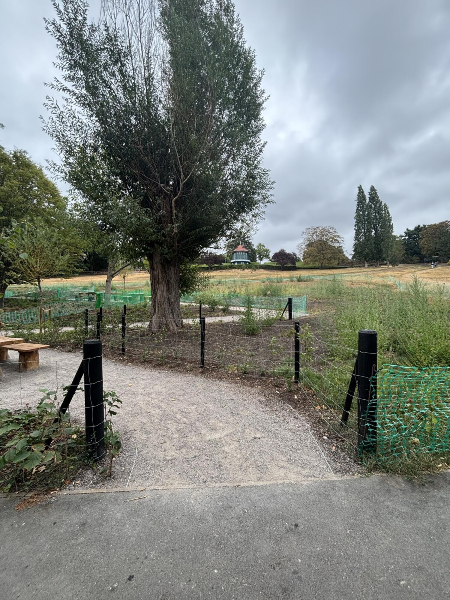 Outdoor – Back space