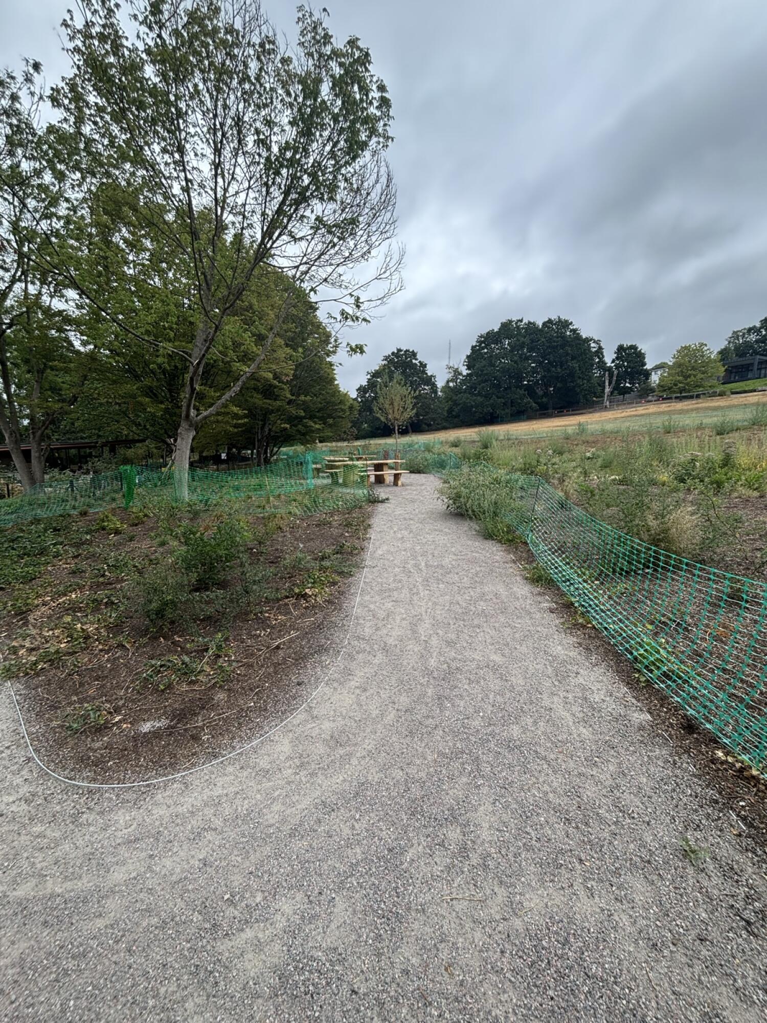 Gravel path continues ahead between green mesh fencing.