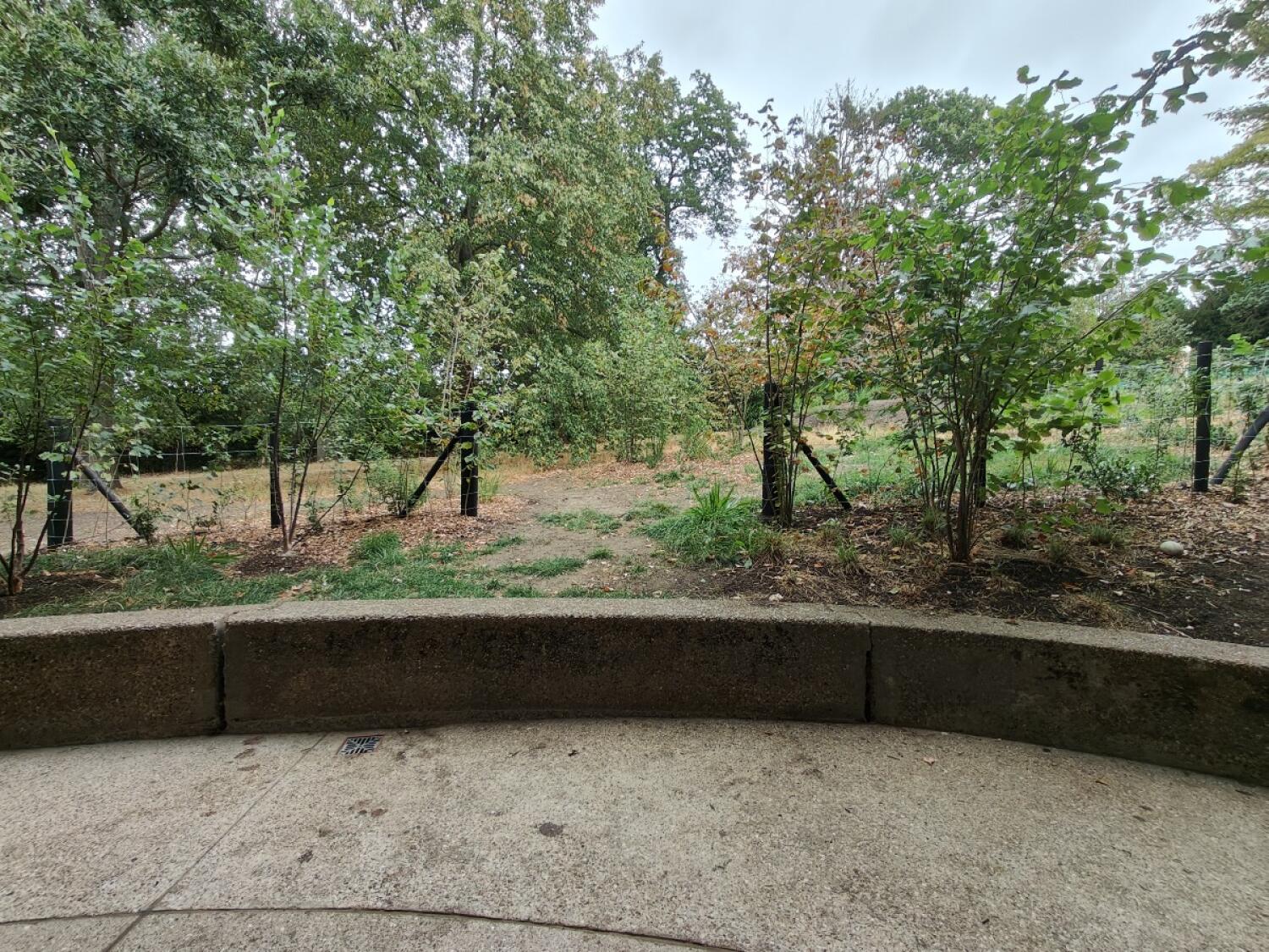Dirt path ahead through fence opening.
