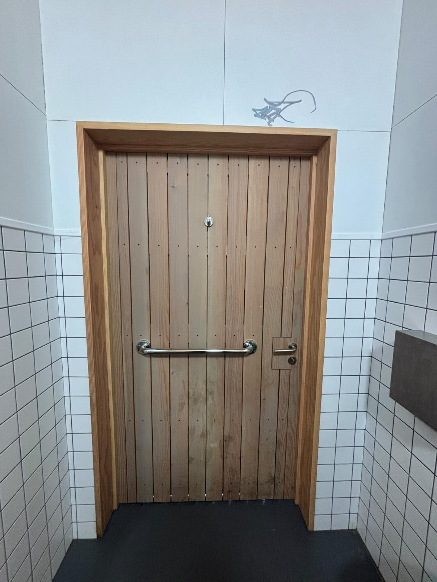 Wood bathroom door. Grab rail in centre.