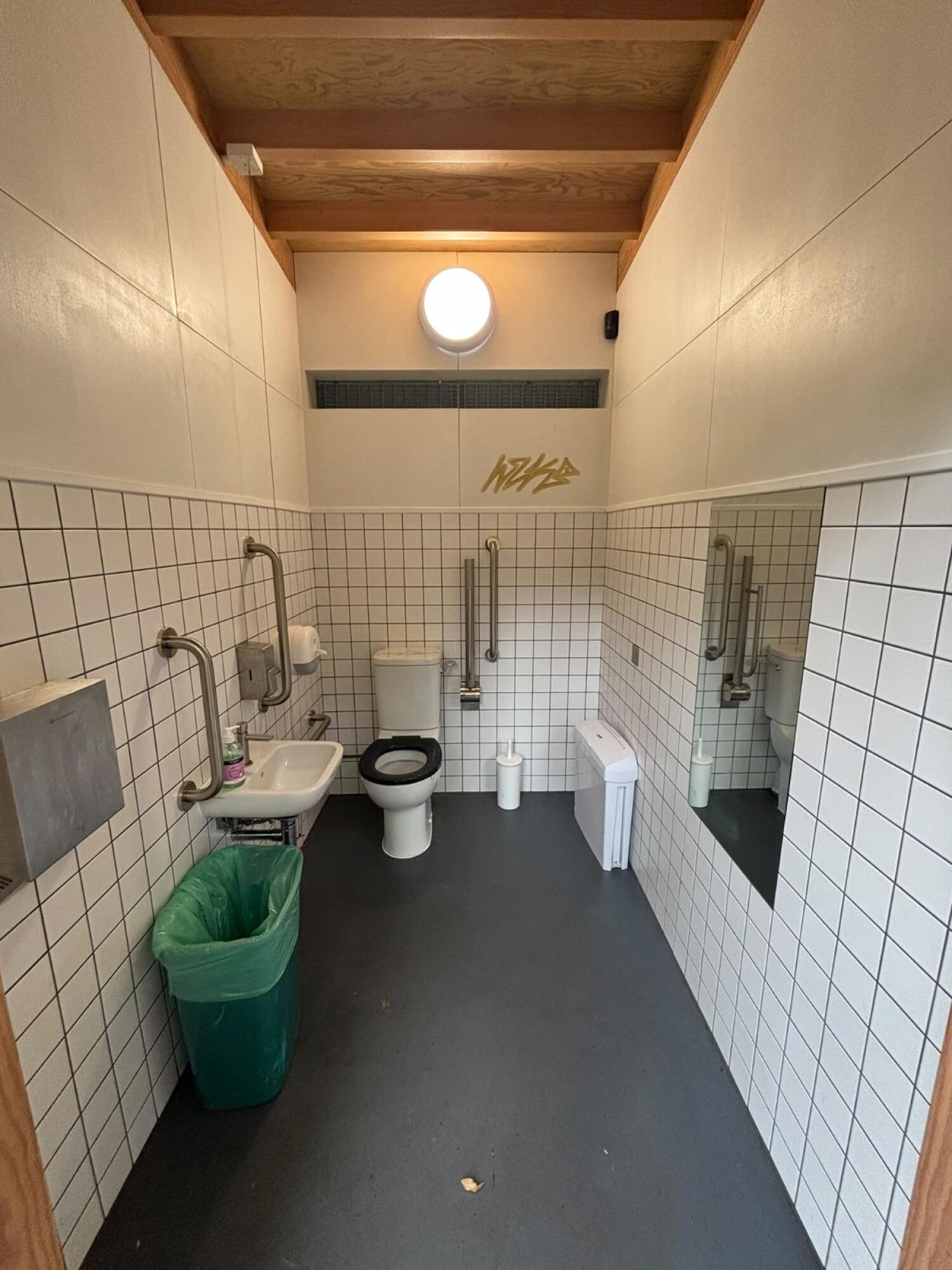 Sink on left wall. Toilet at back wall.