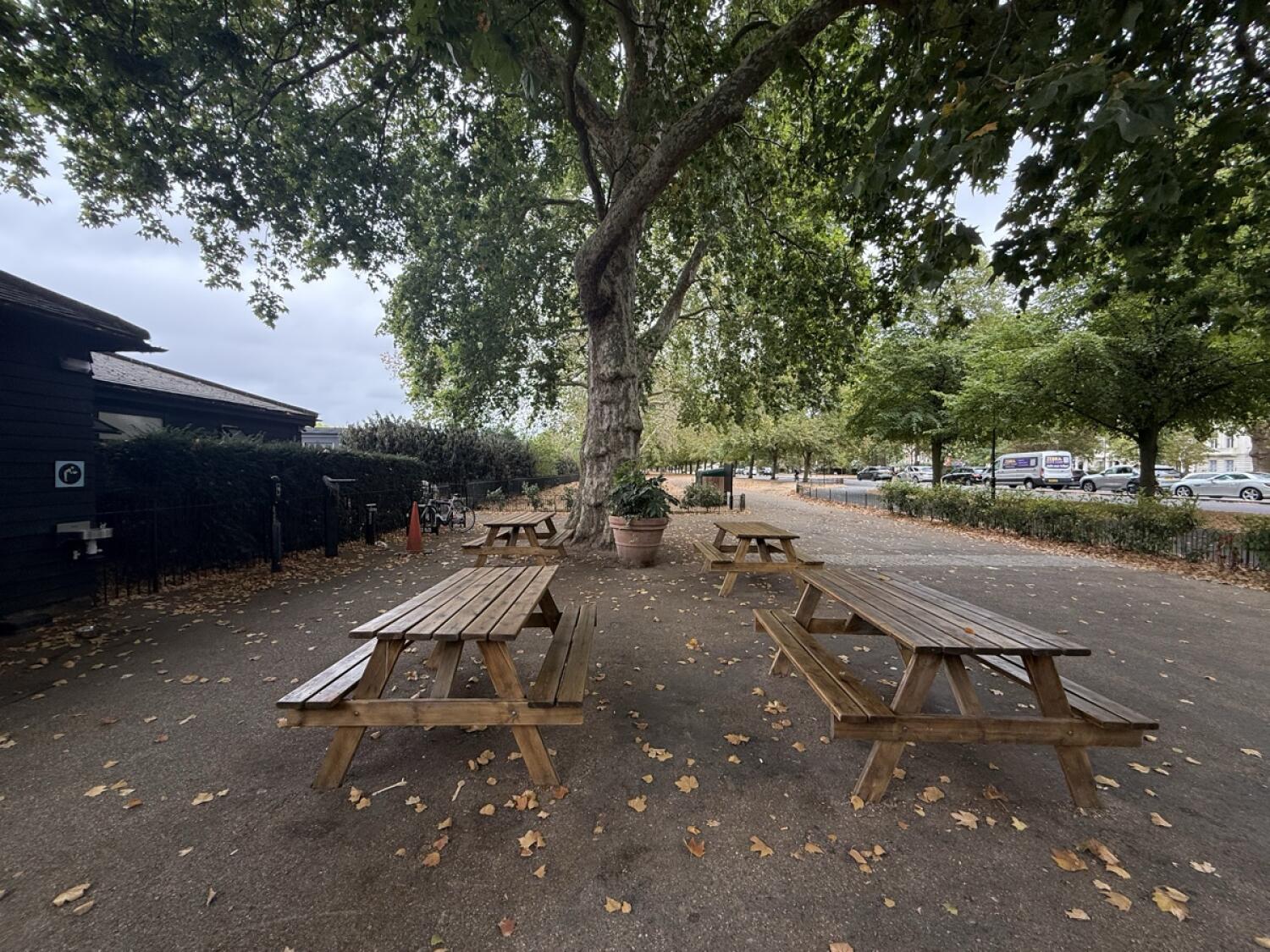 After tree facing straight. Picnic tables along left and right. Paved path along right.