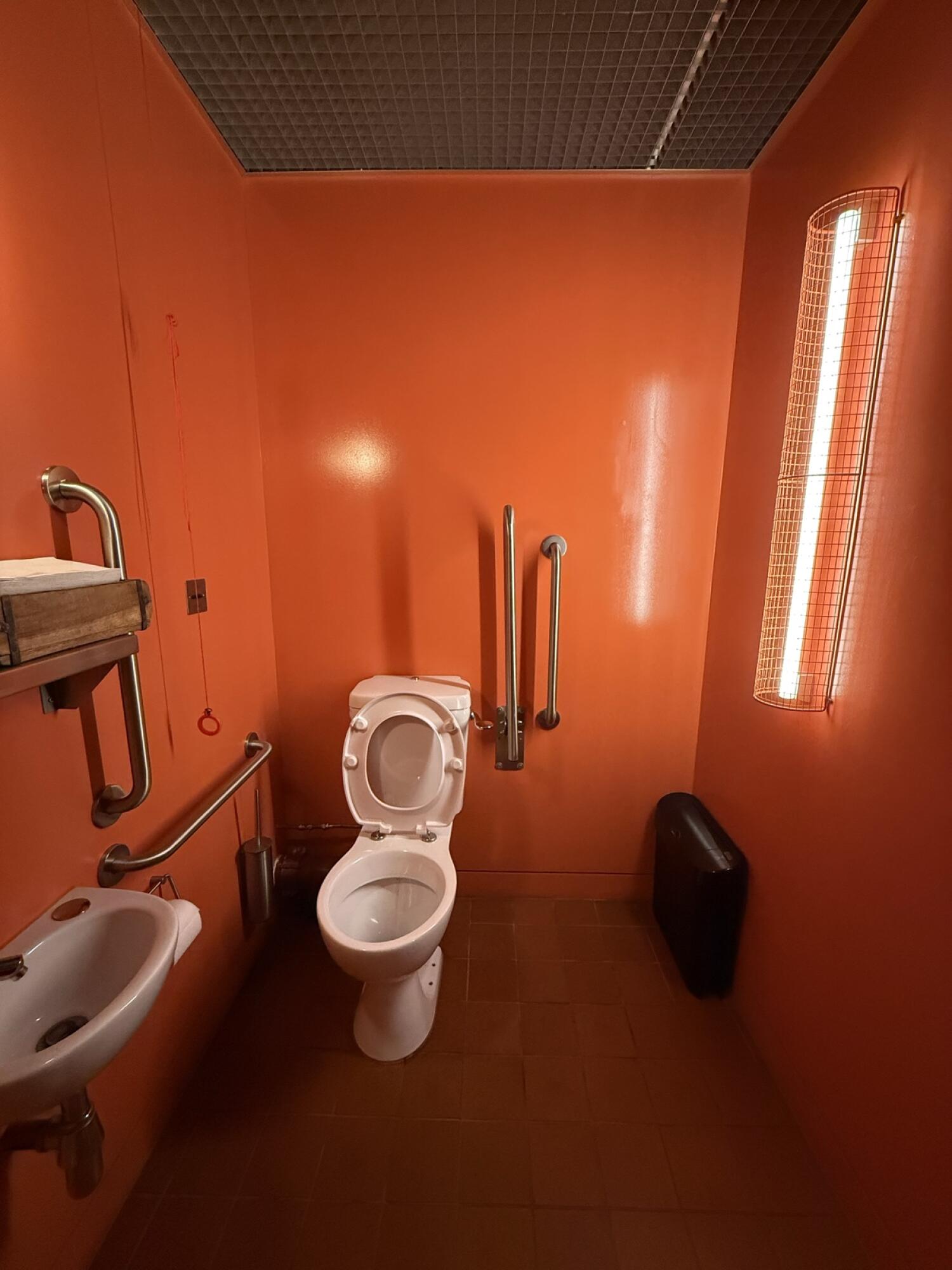 Sink on left wall. Toilet centre back wall. Emergency pull cord on left wall.