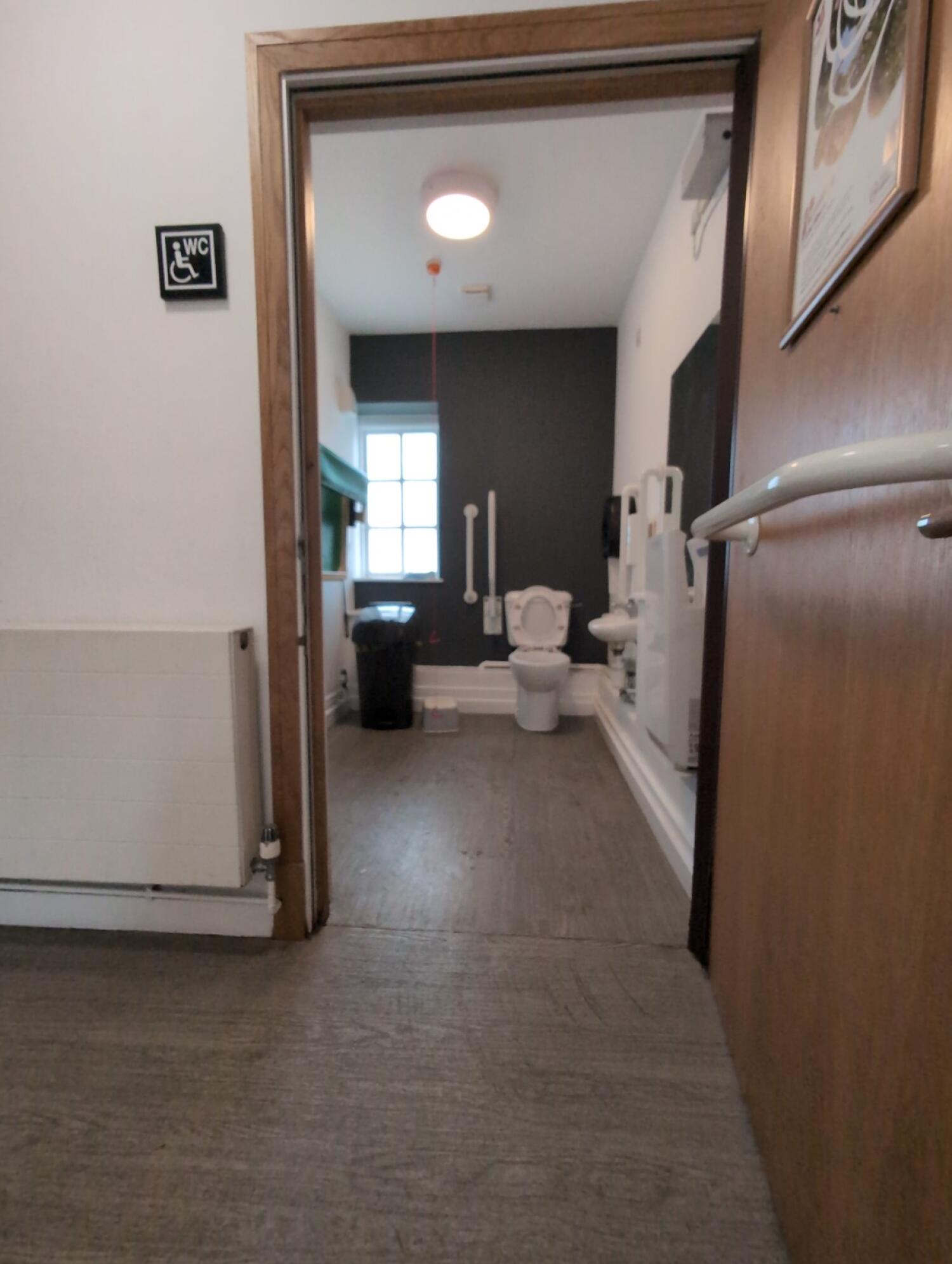 Toilet at back wall. Emergency pull cord left of toilet. Sink on right wall.