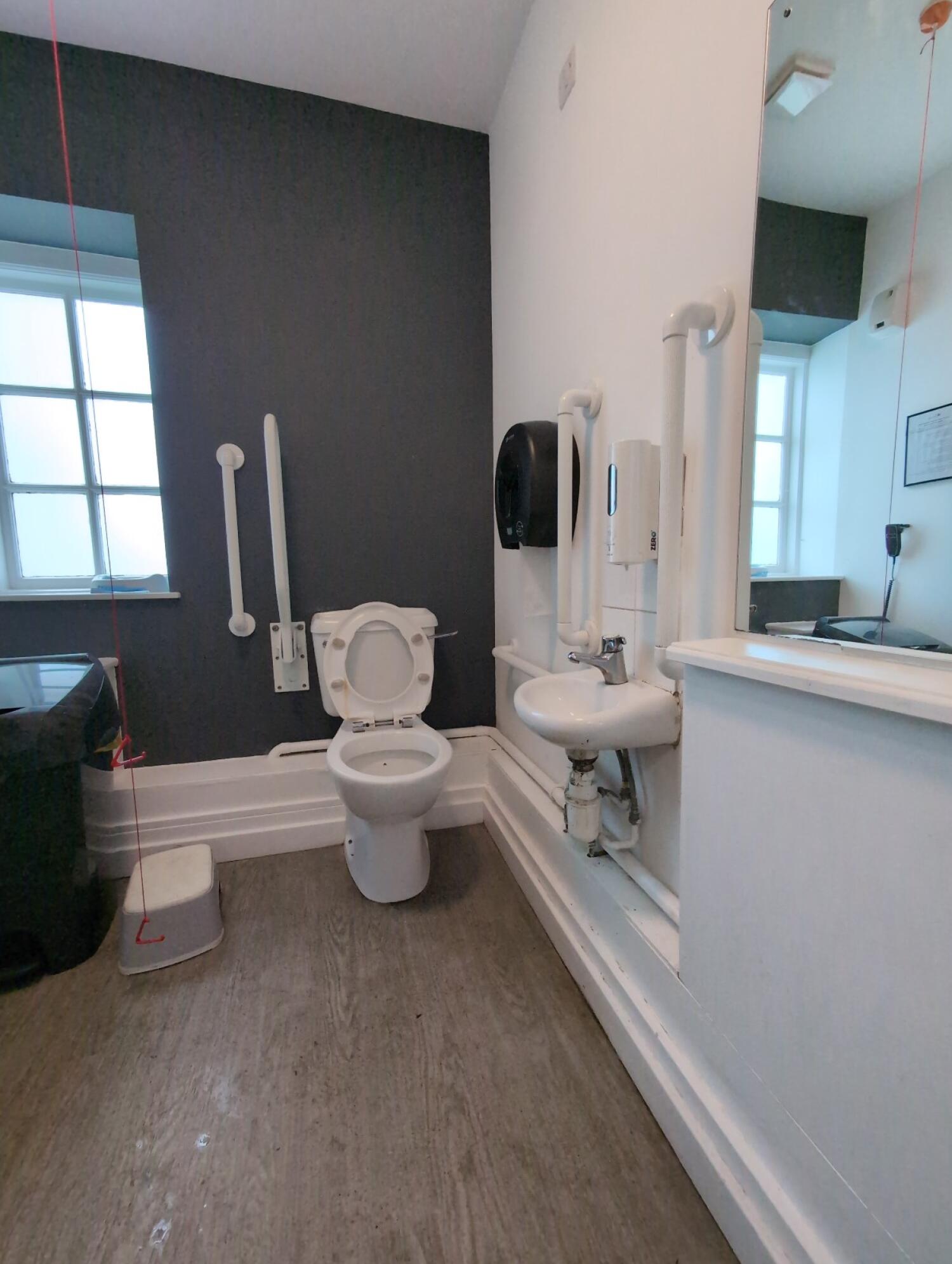 Emergency pull cord on left. Toilet at back centre. Sink on right wall.