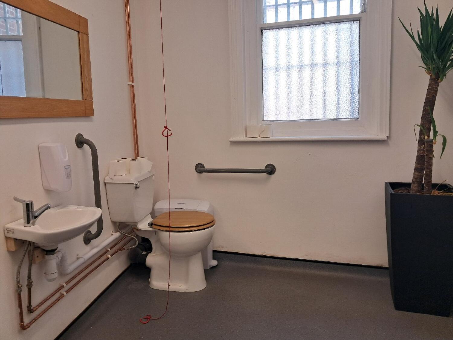 Sink on left wall. Toilet left of back wall. Emergency pull cord in centre.