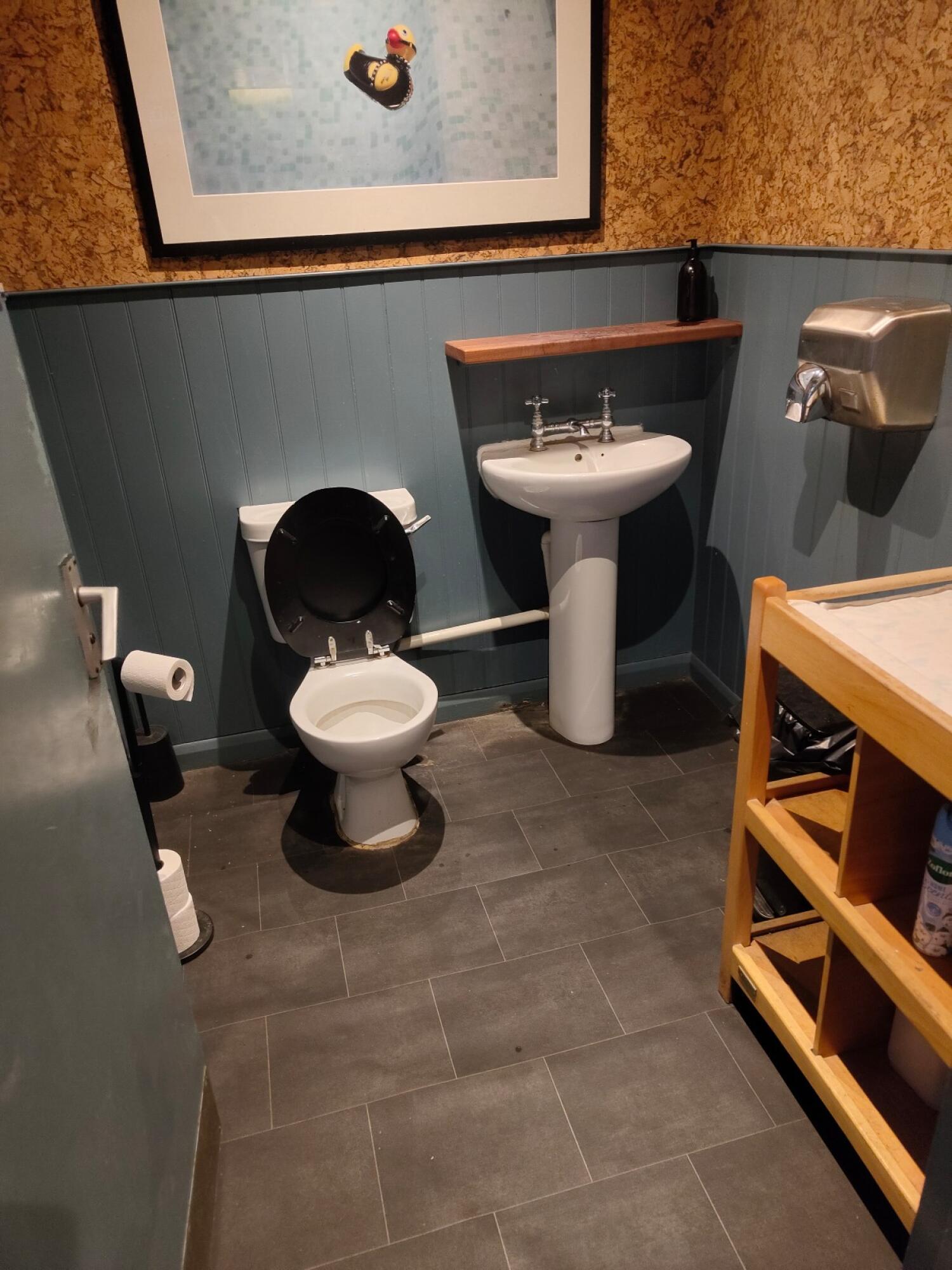 Toilet left of back wall. Sink centre of back wall. Baby changing station right.