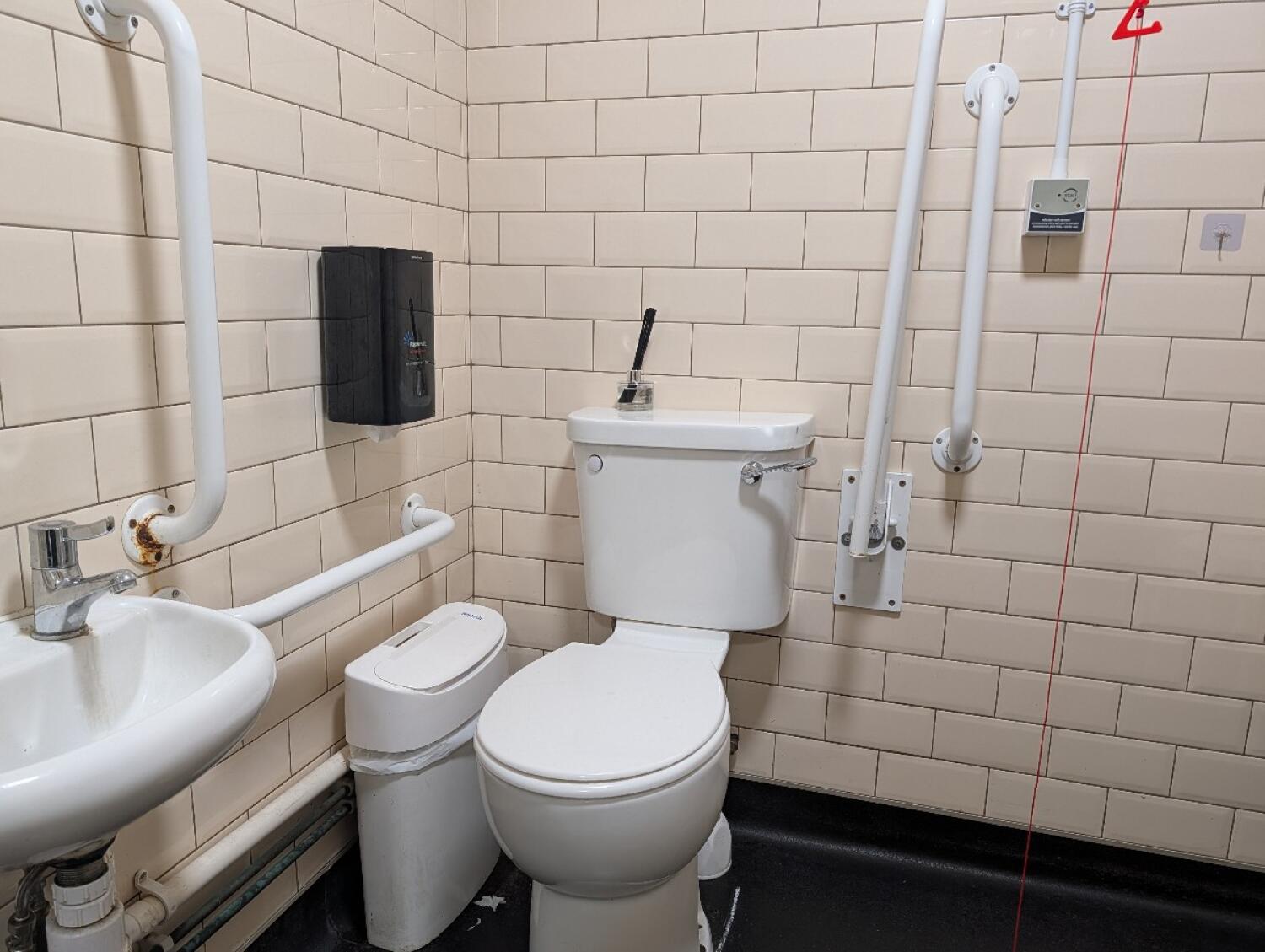 Sink on left wall. Toilet at back wall. Emergency pull cord on right wall.