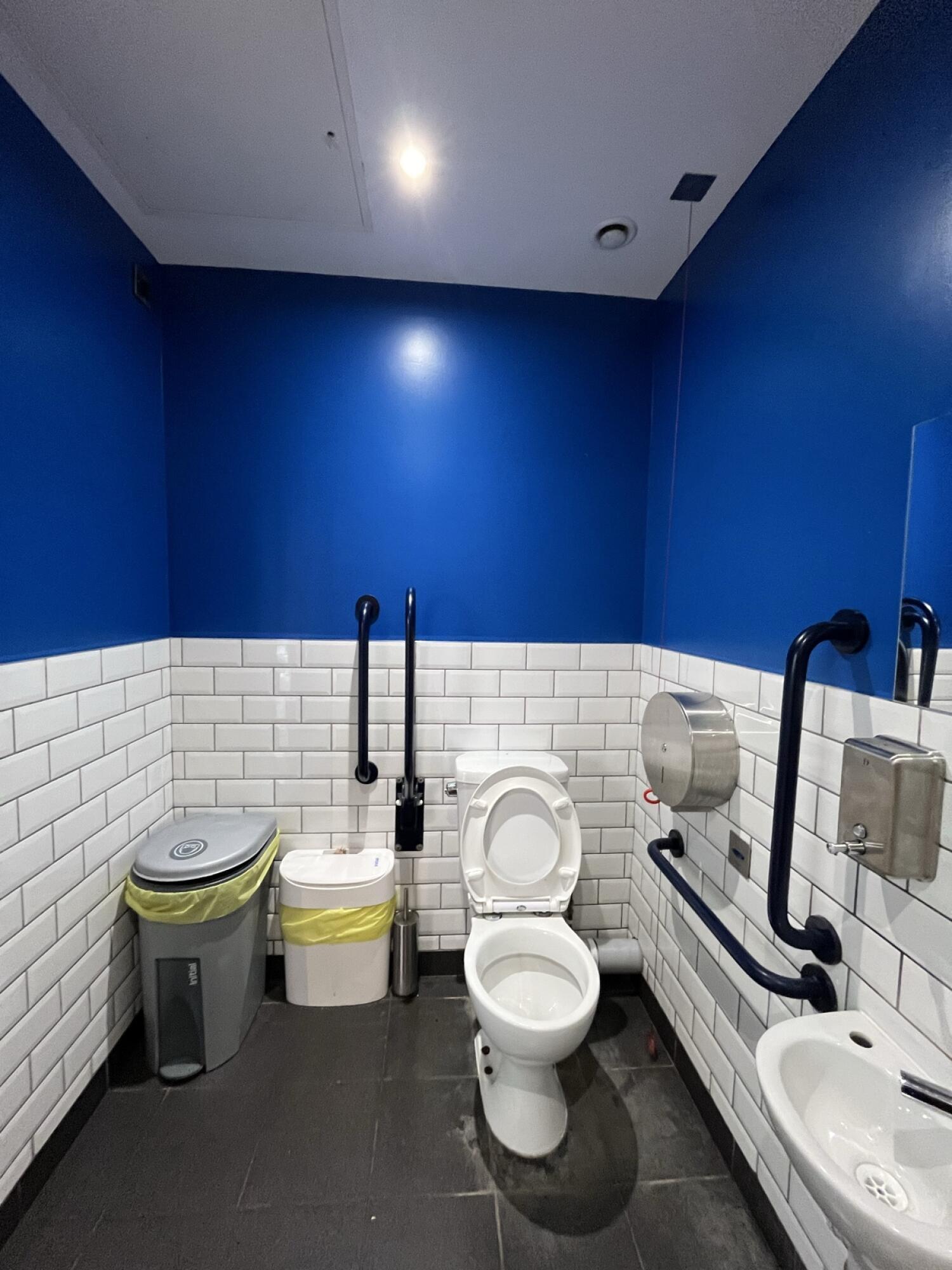 Toilet centre of back wall. Emergency pull cord on right wall. Sink on right wall.