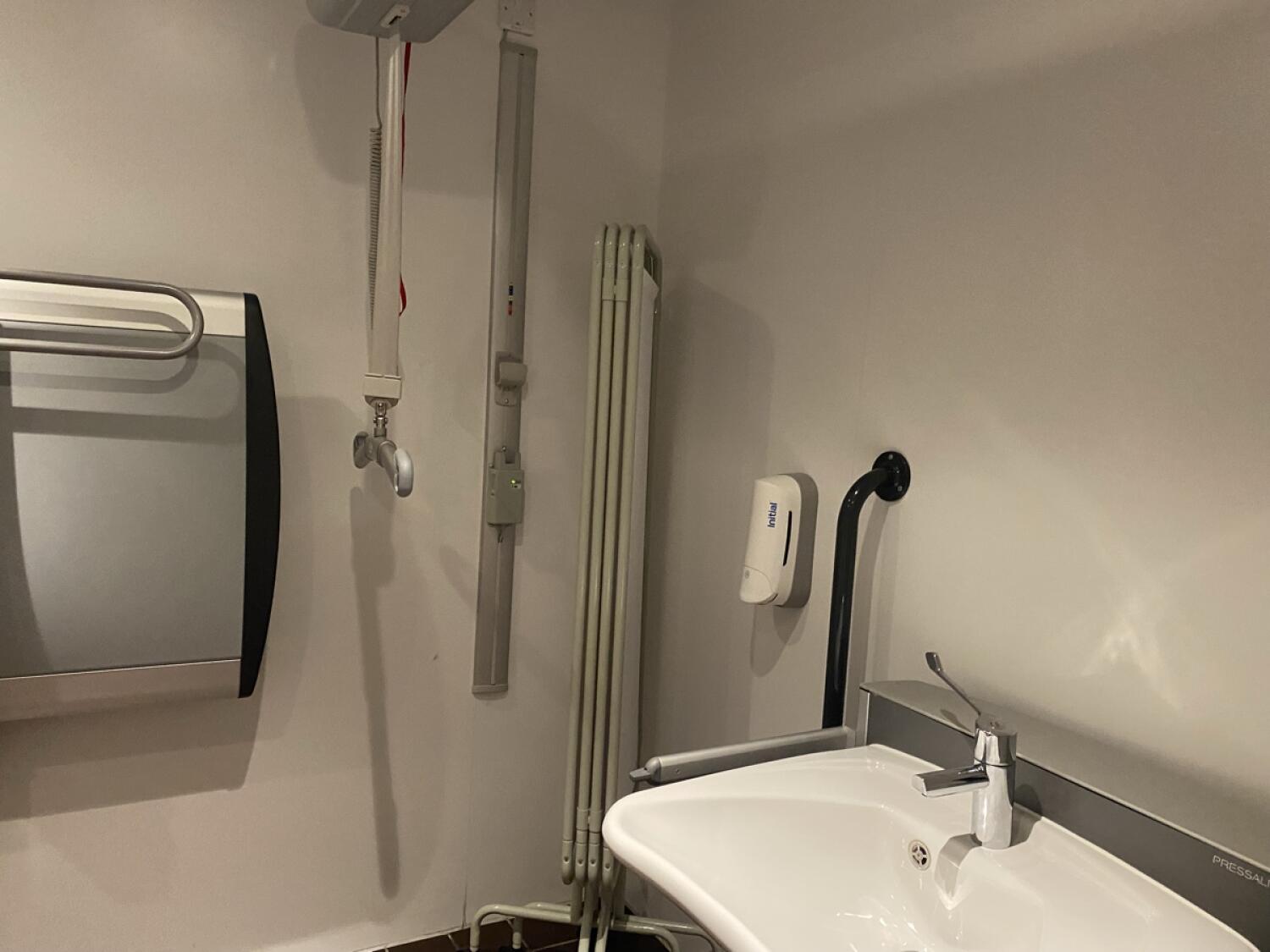 Baby changing station on left. Emergency pull cord in centre. Sink on right.