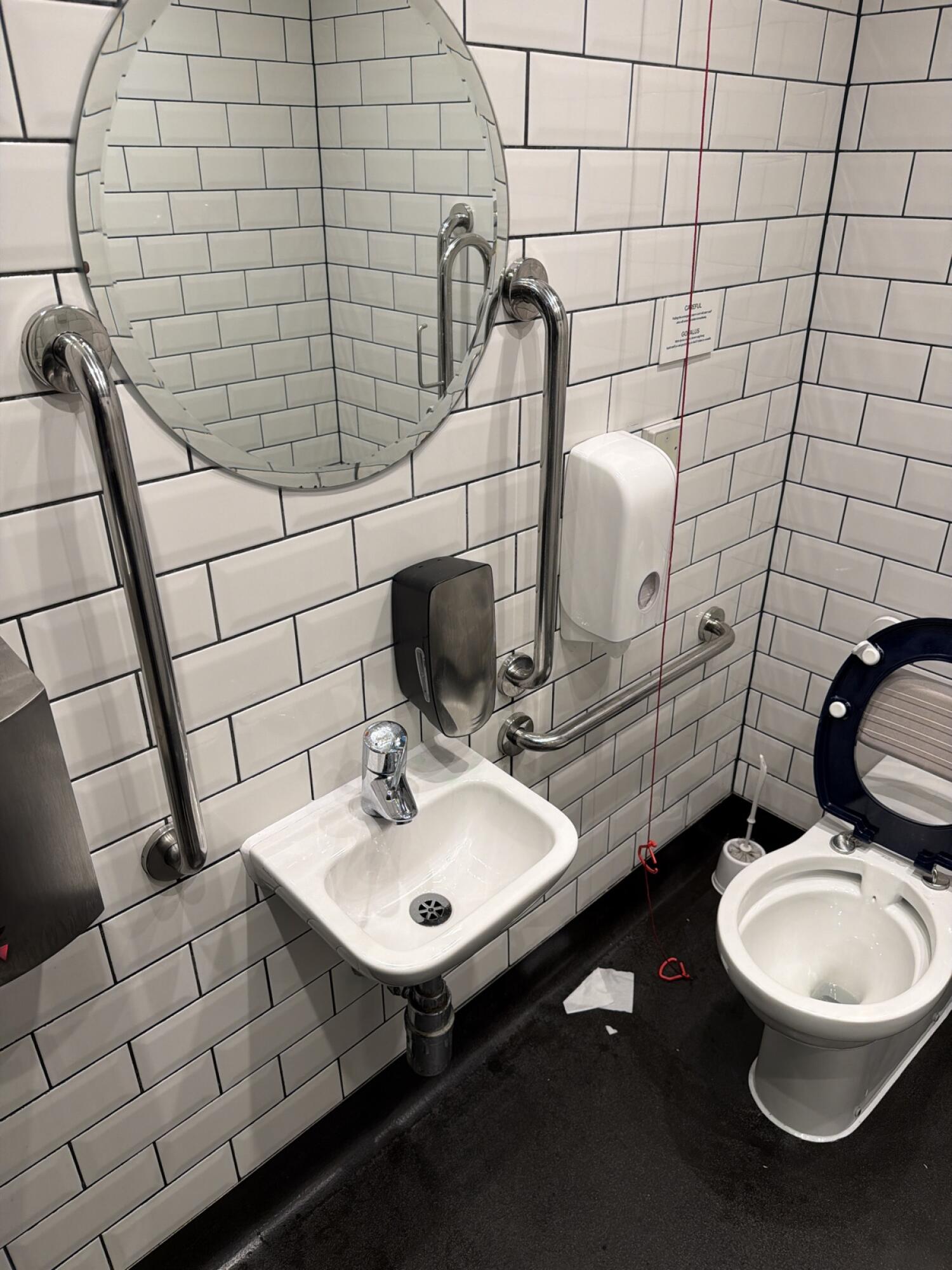 Sink on left wall. Emergency pull cord near back wall. Toilet on right.