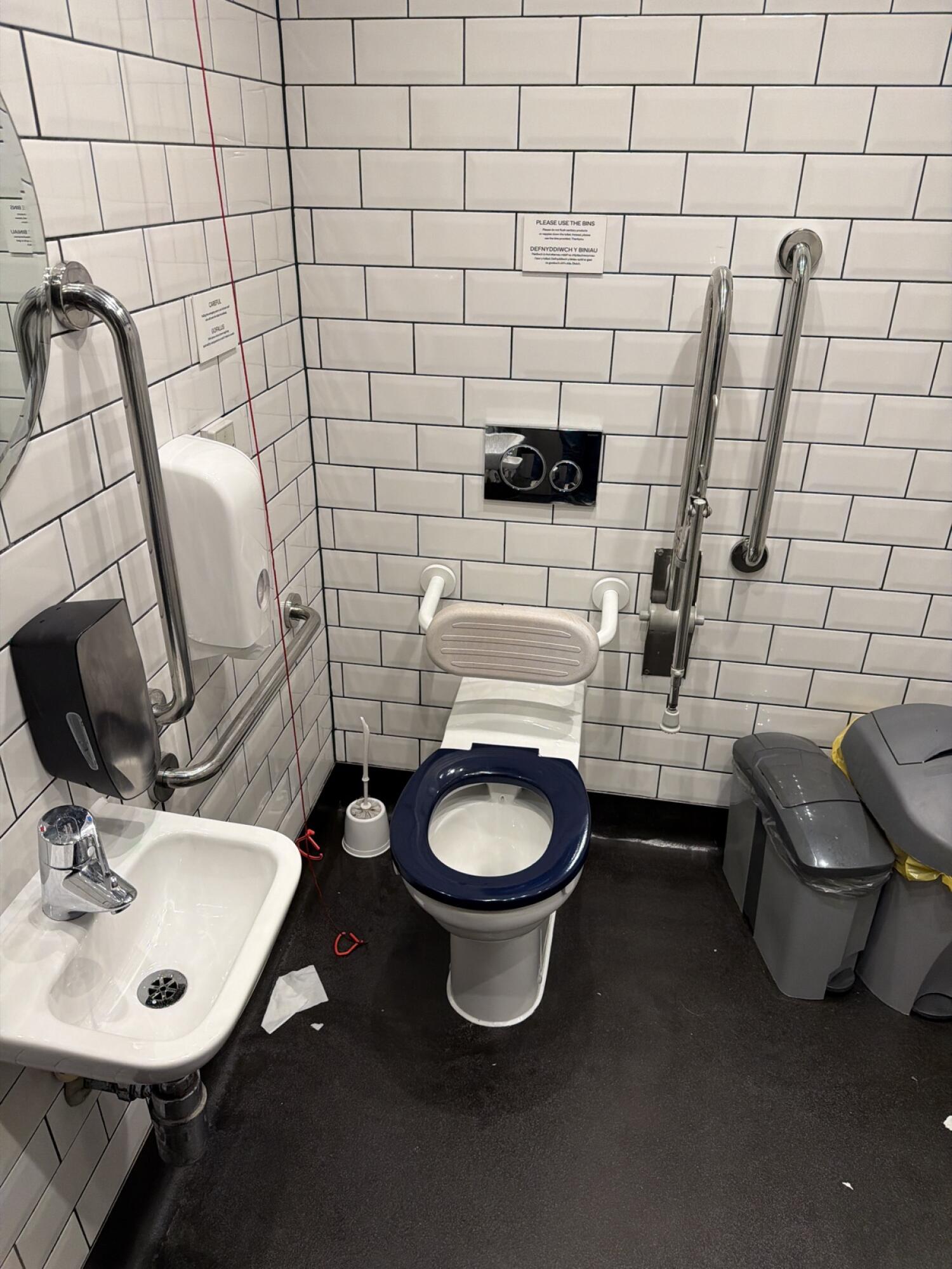 Sink on left wall. Toilet at back wall. Emergency pull cord left of toilet.