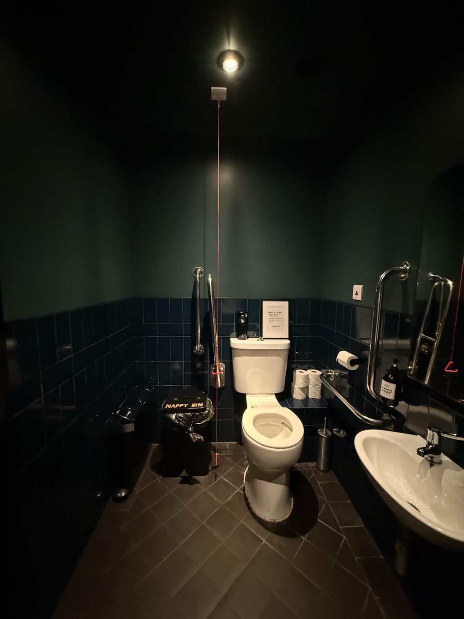 Toilet at back centre. Emergency pull cord left of toilet. Sink on right wall.