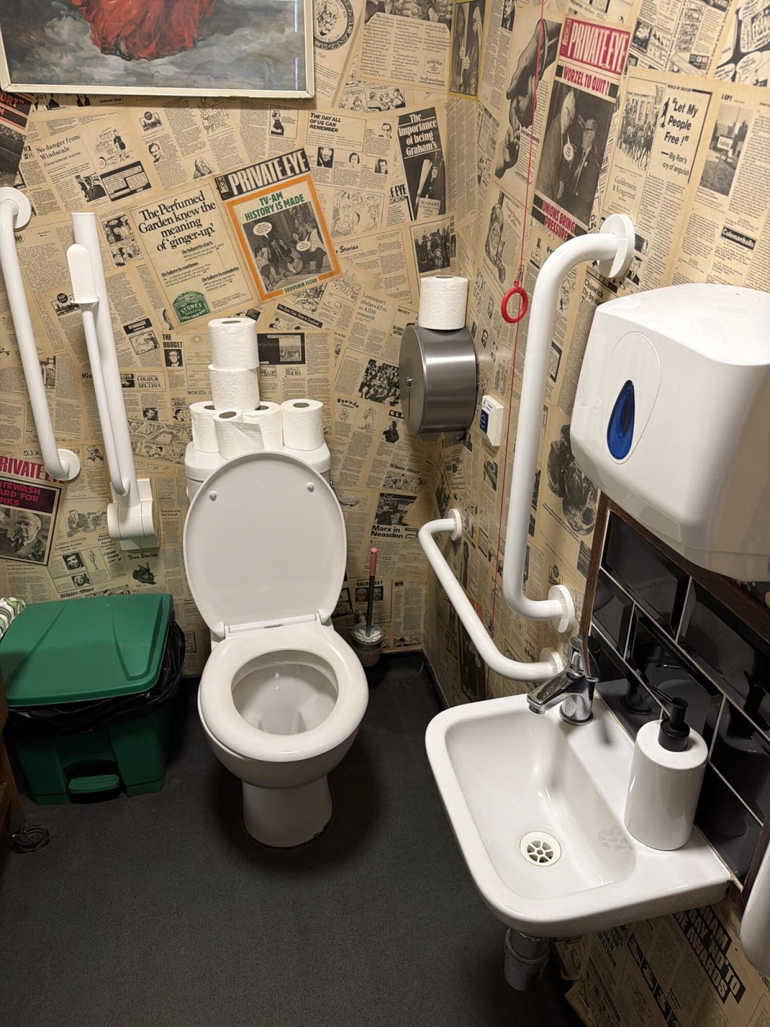 Toilet at back centre. Sink on right wall. Emergency pull cord right of toilet.