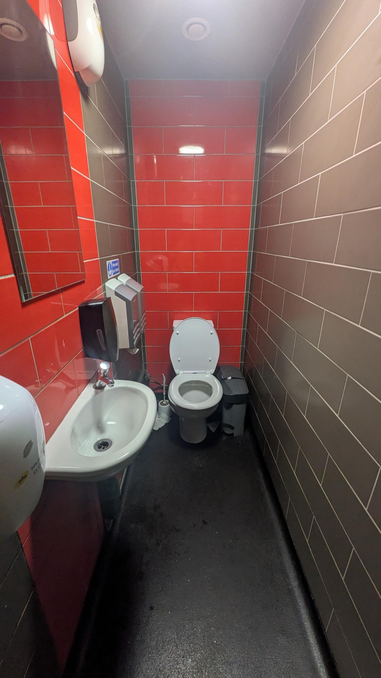 Toilet at back wall. Sink on left wall.