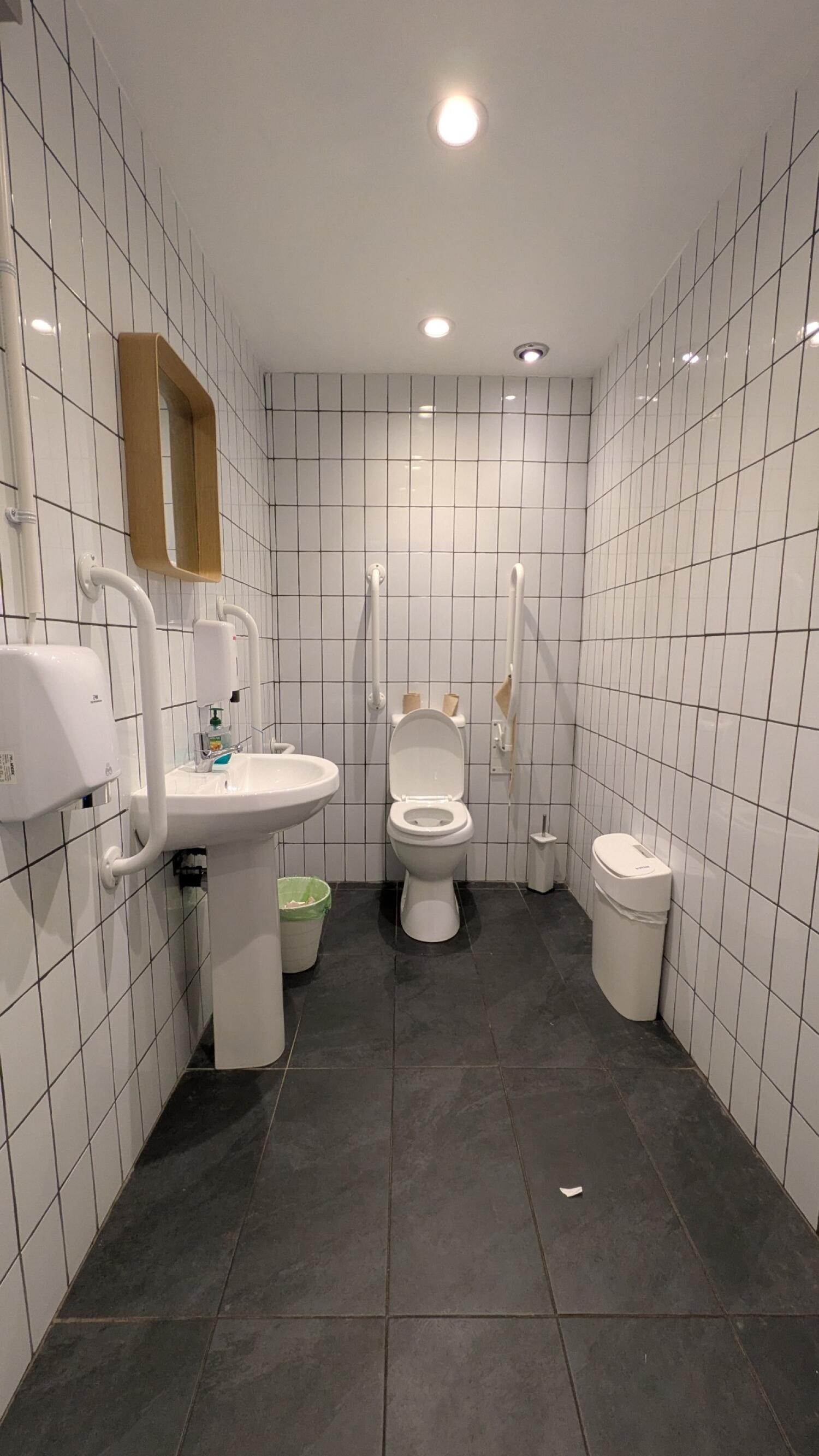 Sink on left wall. Toilet at back centre.
