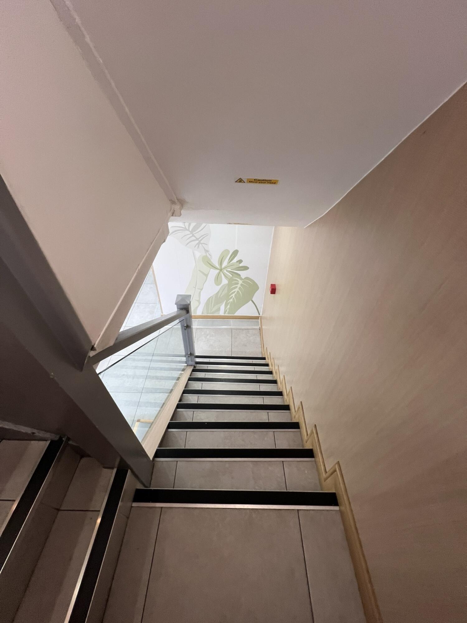 Staircase ahead. Handrails along left and right.