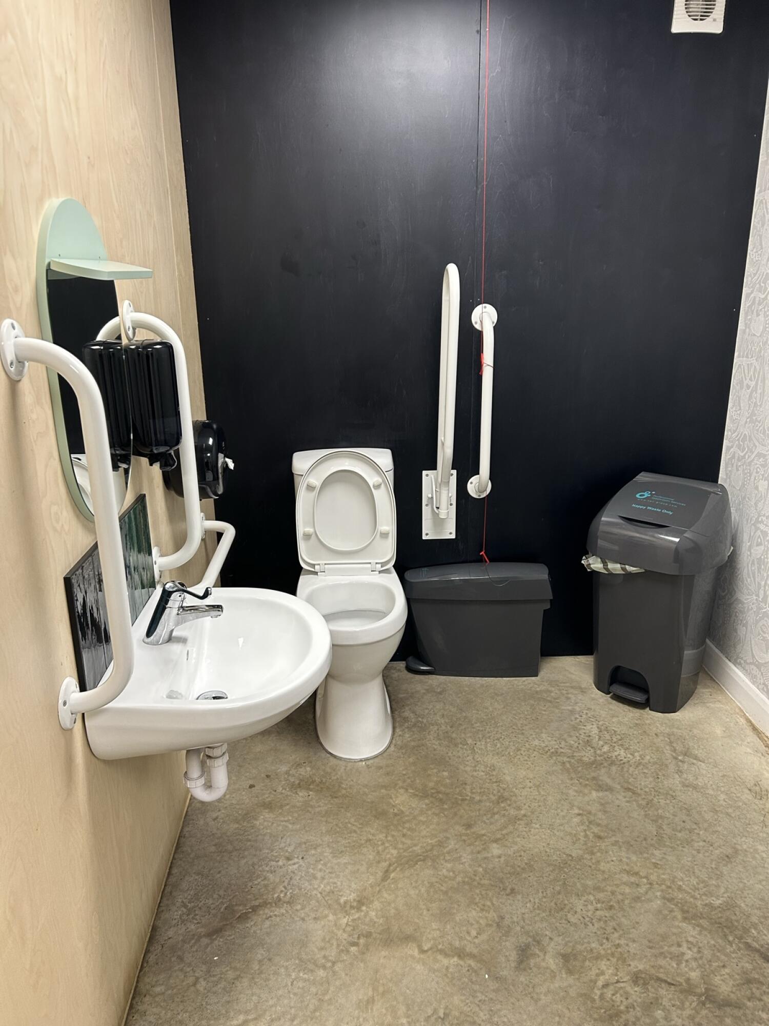 Sink on left wall. Toilet at back wall. Emergency pull cord to toilet's right.