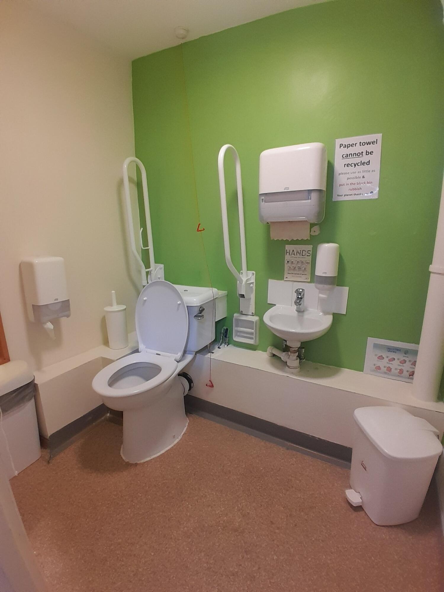 Toilet left of back wall. Emergency pull cord right of toilet. Sink on right of back wall.