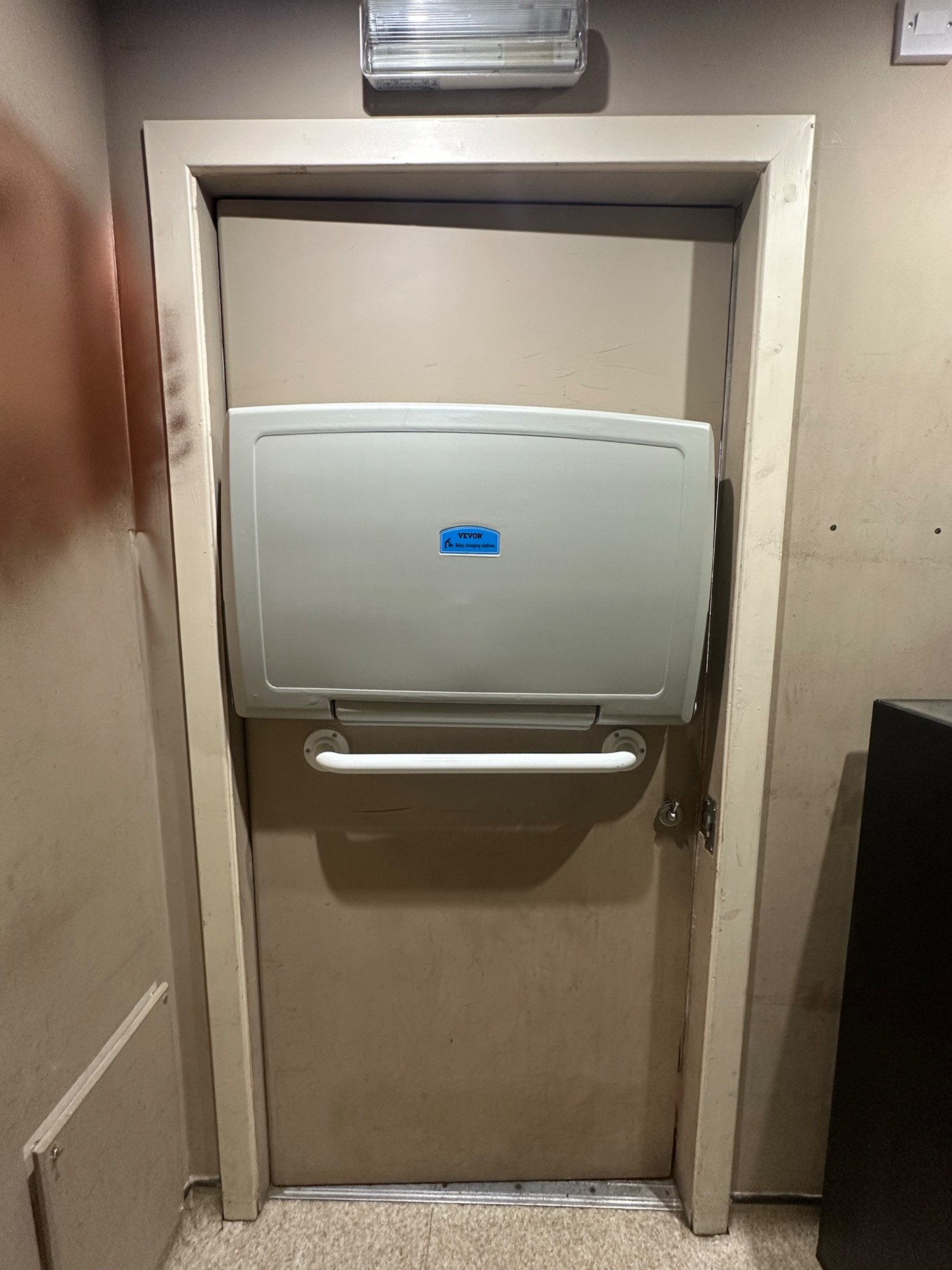 Back of beige bathroom door with white grab rail in centre of door. Baby change above grab rail. Silver handle to right, push to open.