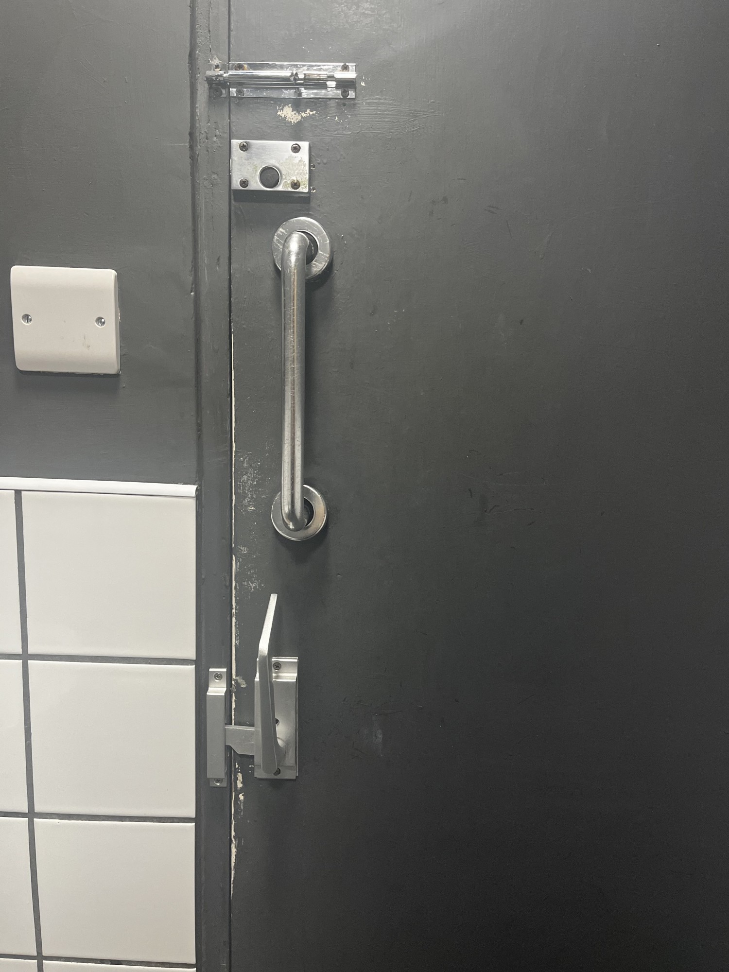 Two types of lock on the door including grab bar.