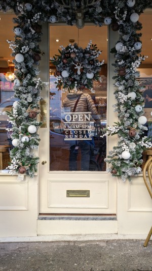 From street looking straight at main entrance. Single manual glass door opening inward with push handle on left side. Single large step into entry. Large Christmas reed pictured around doorway.