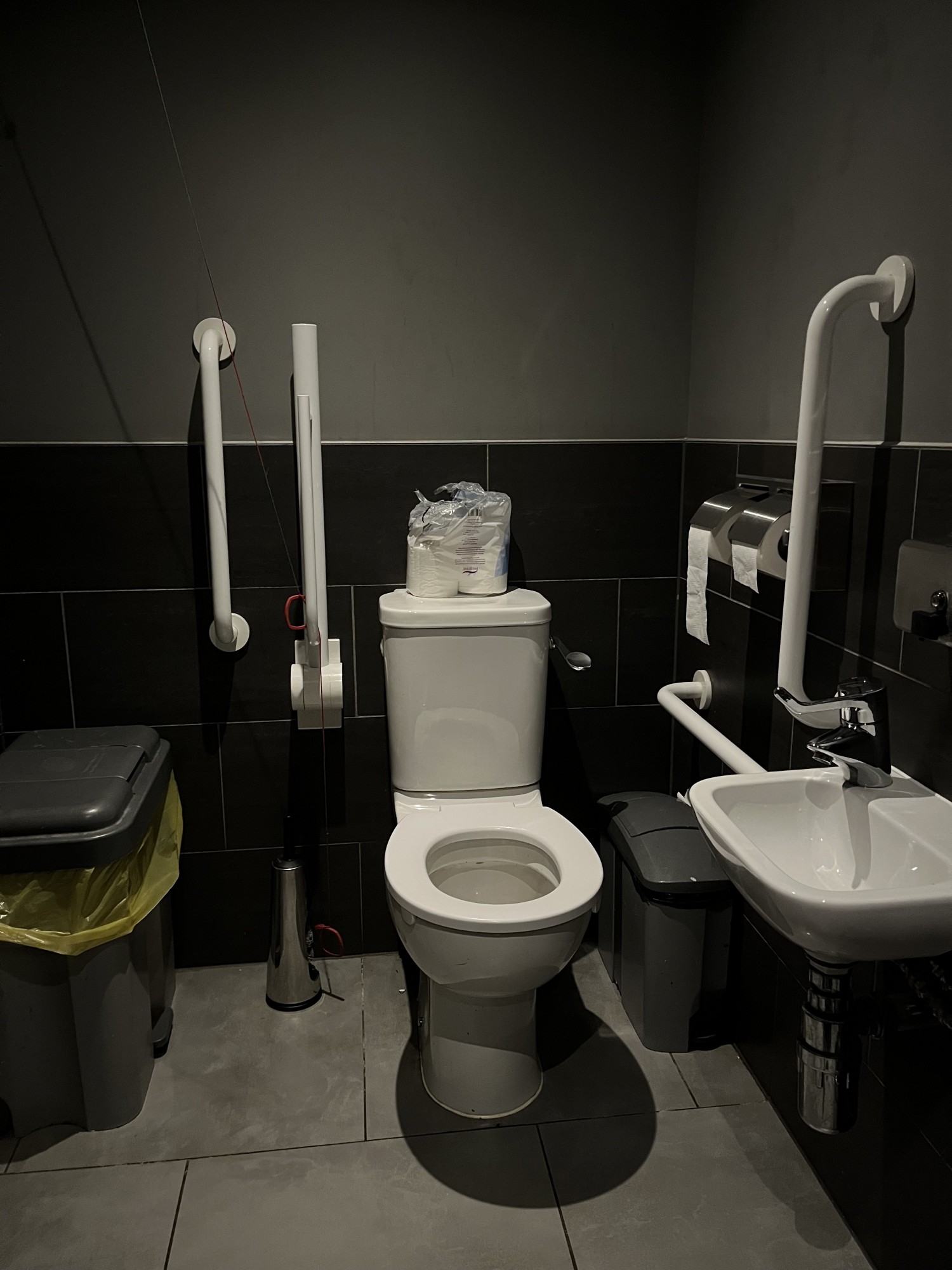 Inside of accessible bathroom.