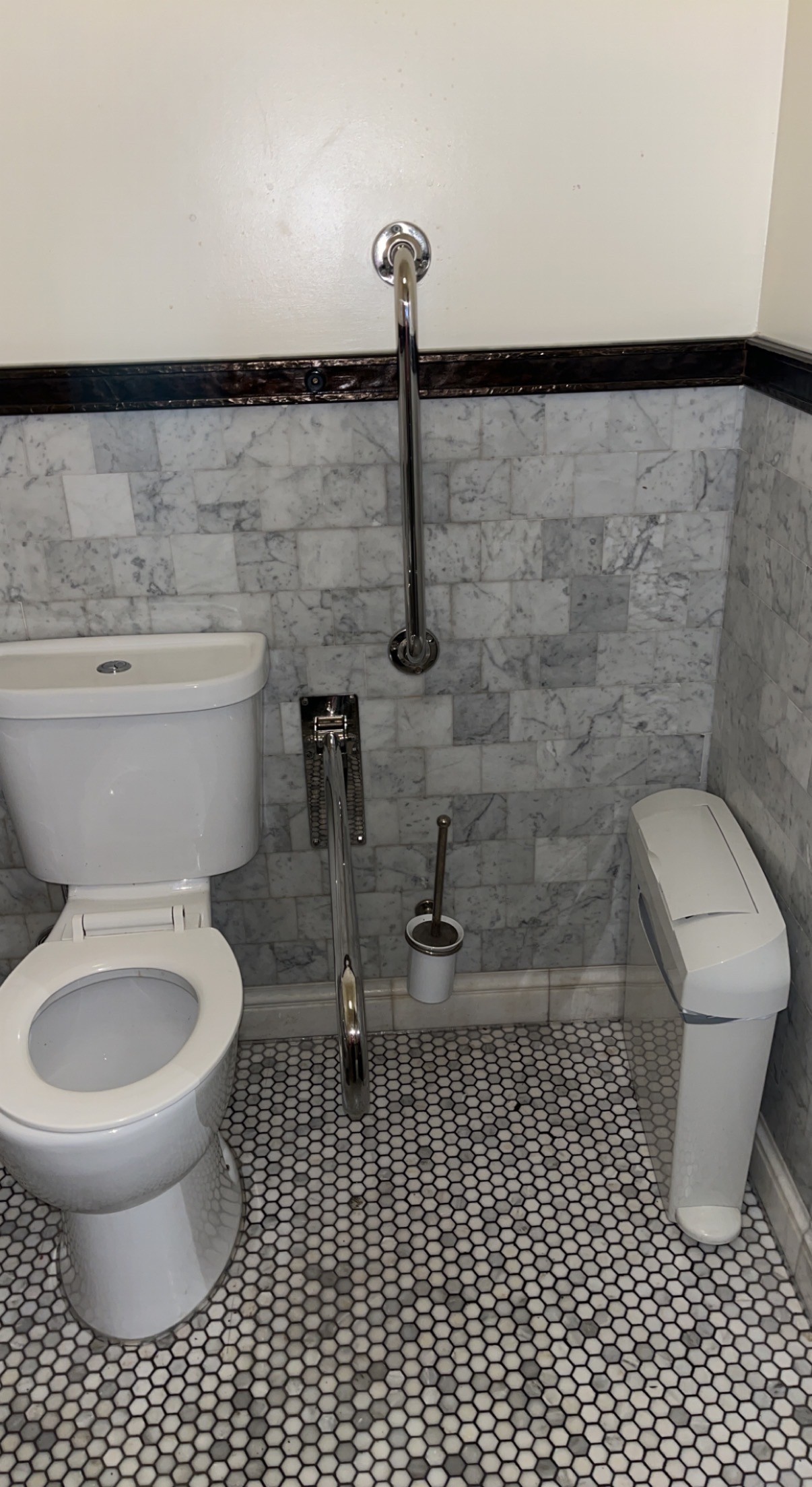 Toilet on left, 2 grab bars, bathroom brush andnsanitary bin on right.