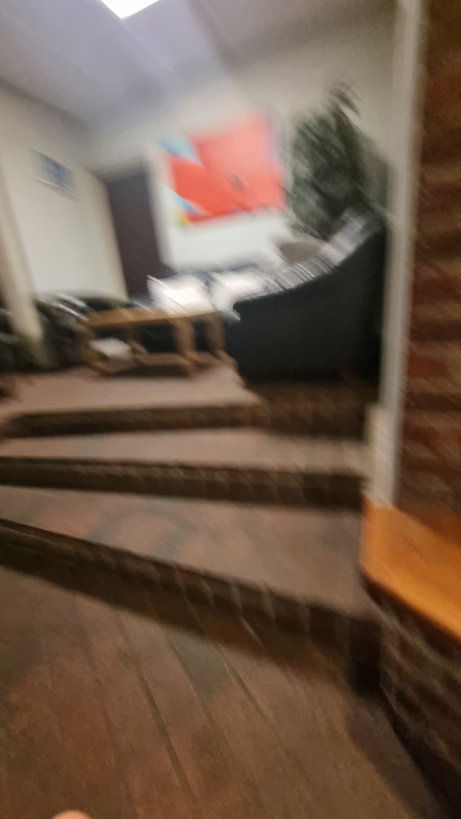Sorry blurry photo! Side lounge area with steps