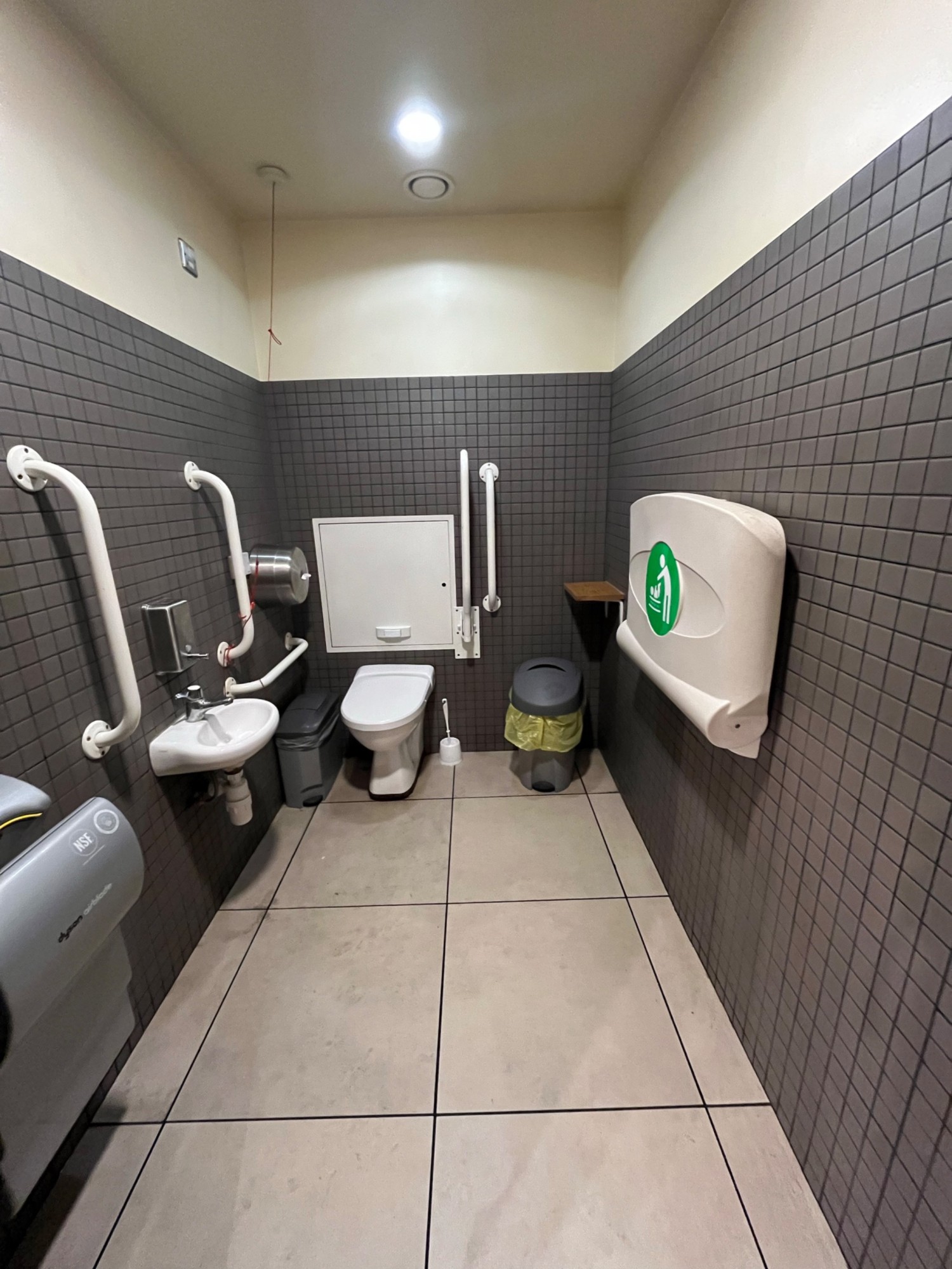 From door facing straight. Baby change on right wall. Toilet at back left, pull cord to its left. Sink on left wall.