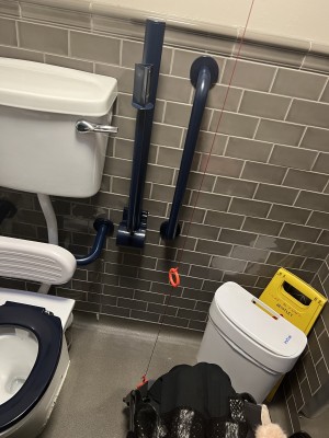 Barely room for my slimline wheelchair. Carer squished against sink to transfer me