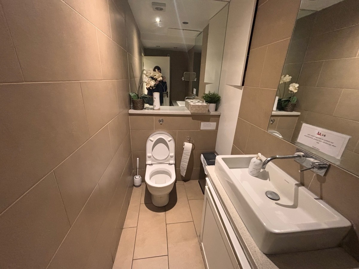From door facing left. Sink at right. Toilet at back. Shelf above toilet.