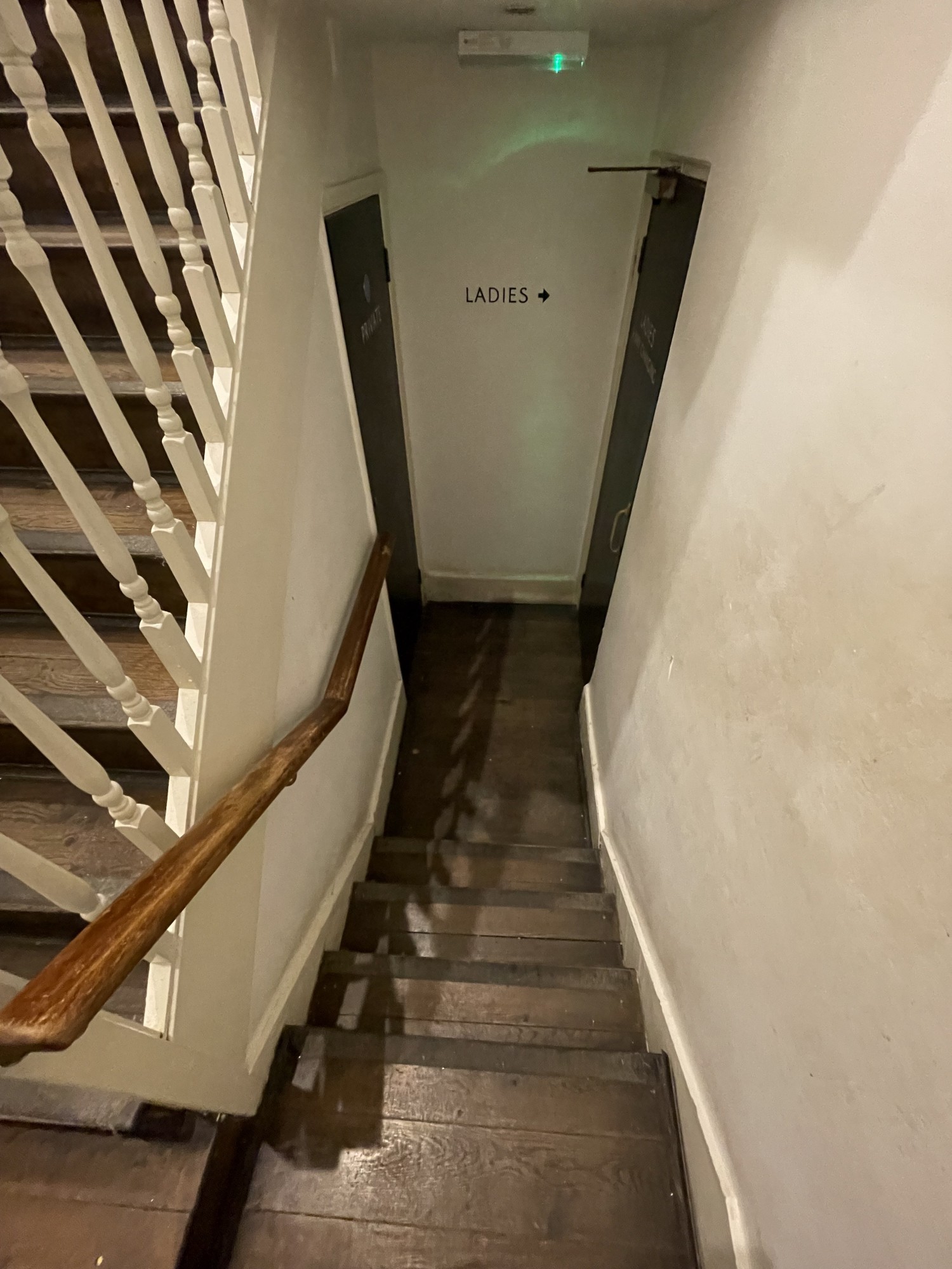4 steps leading to the ladies bathroom. View from inside of first preceding door. There is a handrail on the left. There is a small platform at the bottom with the door to the right leading to ladies room.