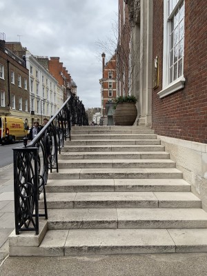 There is an ornamental handrail to the left hand side. At the top of the stairs before the doors there are large plant pots.