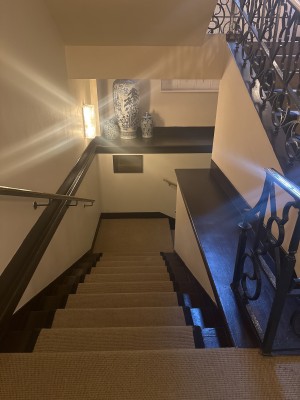 View of the stairs to get to the club. From the coral room, there is the pathway for the toilets and on the left hand side the stairs to get to the club. Straight ahead there are approximately 10 steps followed by a landing. There is a handrail on the left hand side that ends before the landing.