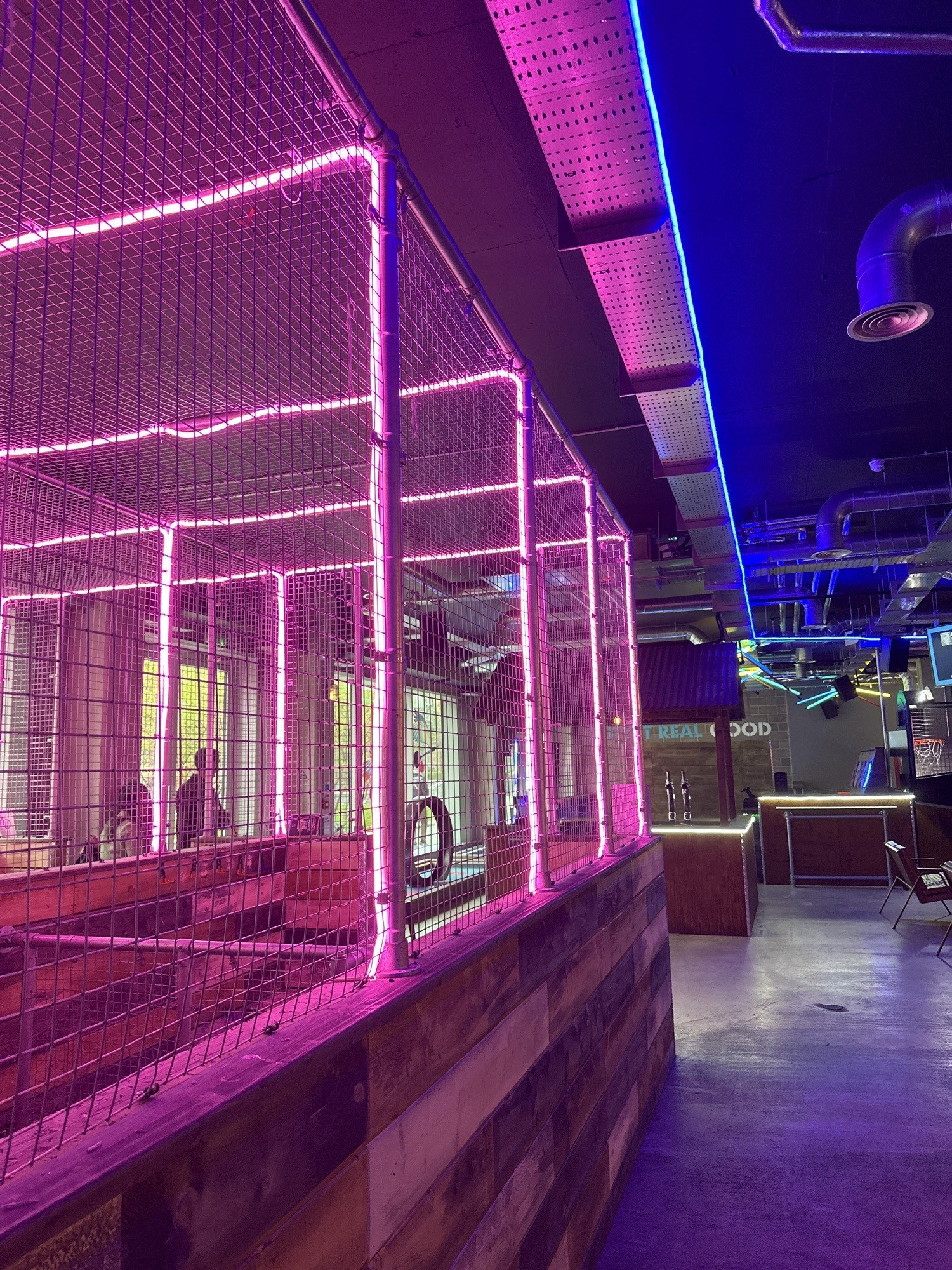 Bright colours and flashing lights , will likely be very noisy
