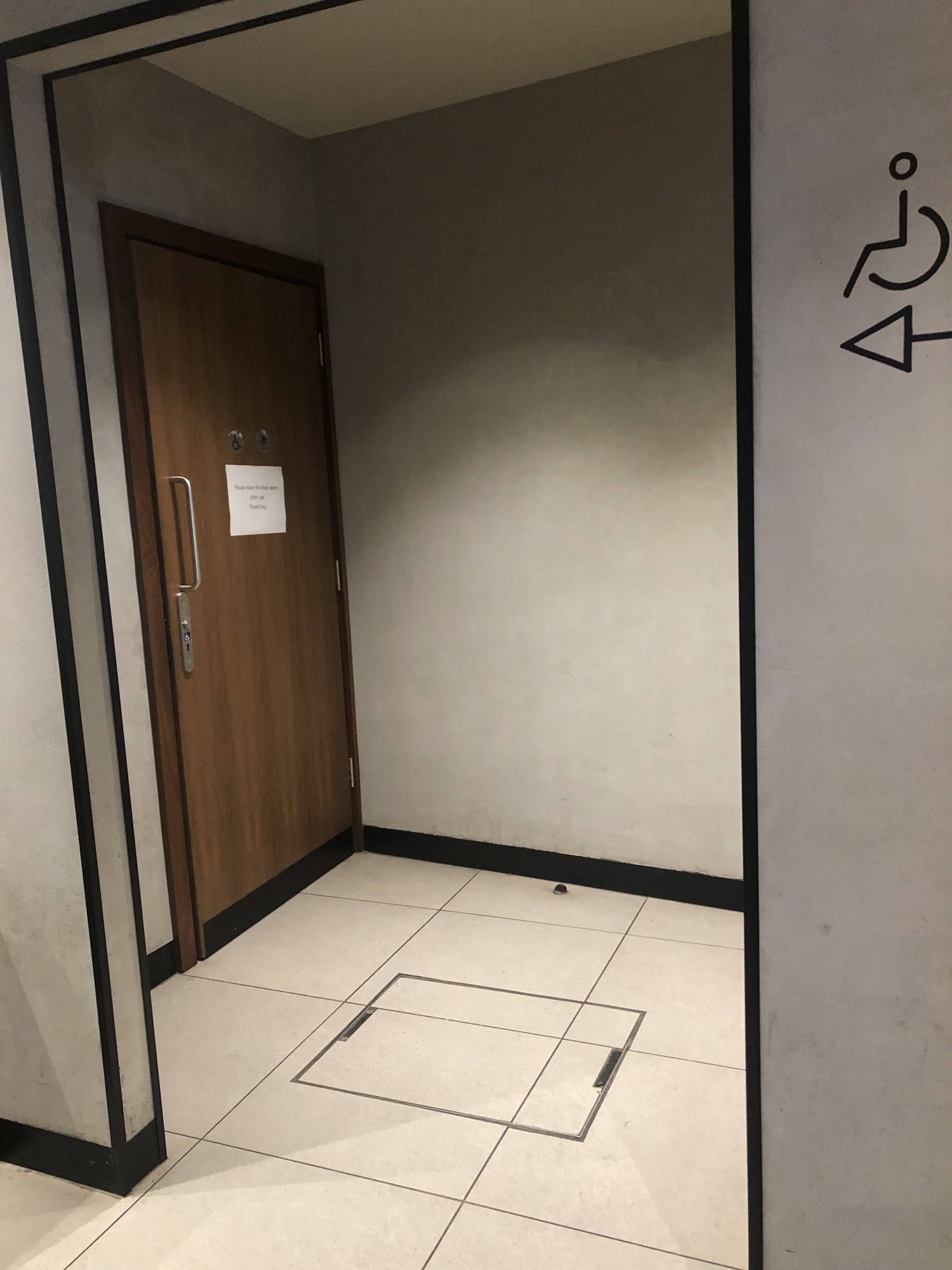 Entrance area to wheelchair accessible bathroom with pale walls, wooden door and short horizontal pull-grab rail at average standing height.