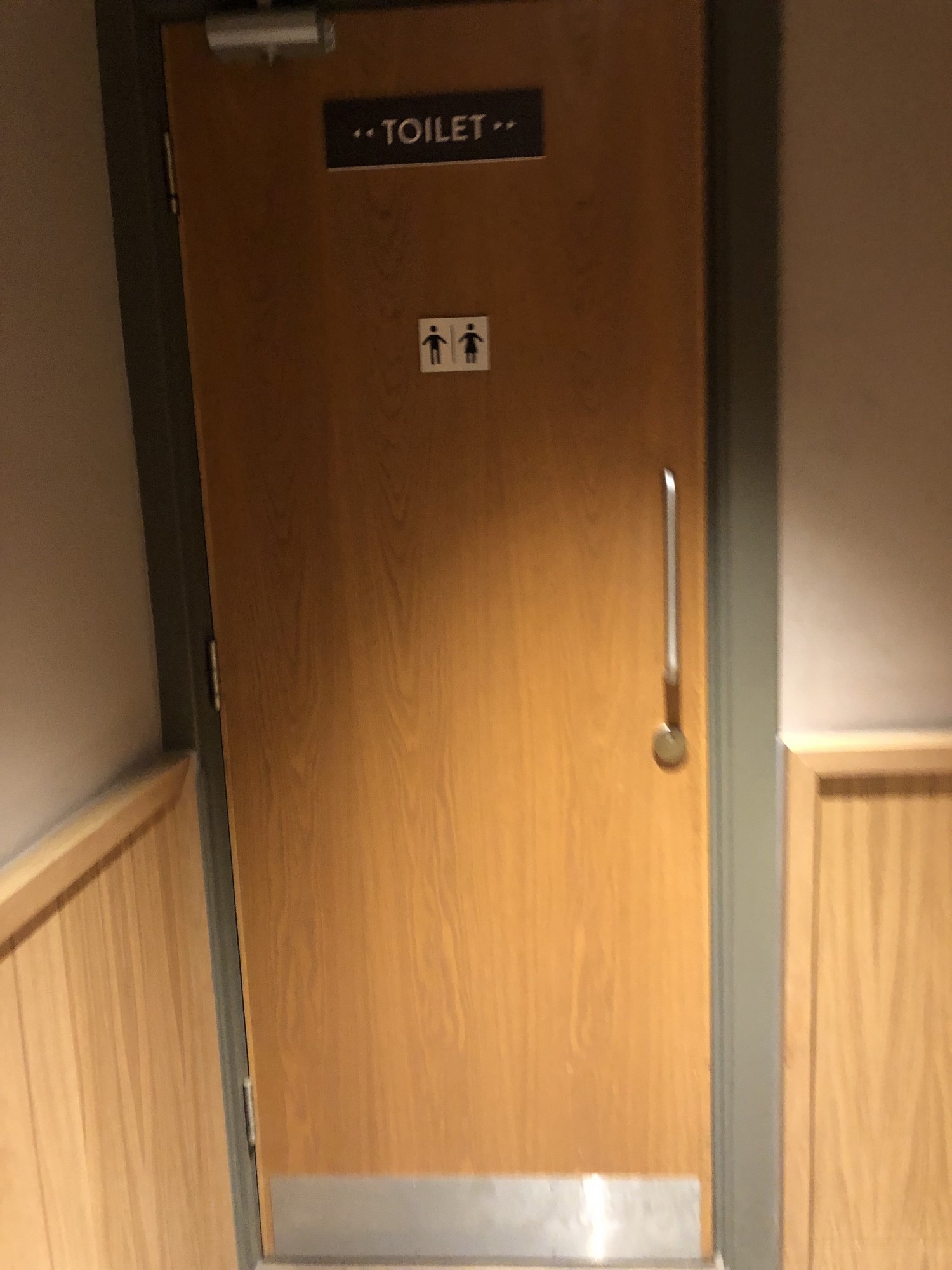 Door to bathroom with signs marking it as men and women’s bathroom but no wheelchair access or baby changing. Handle is vertical grab rail style.