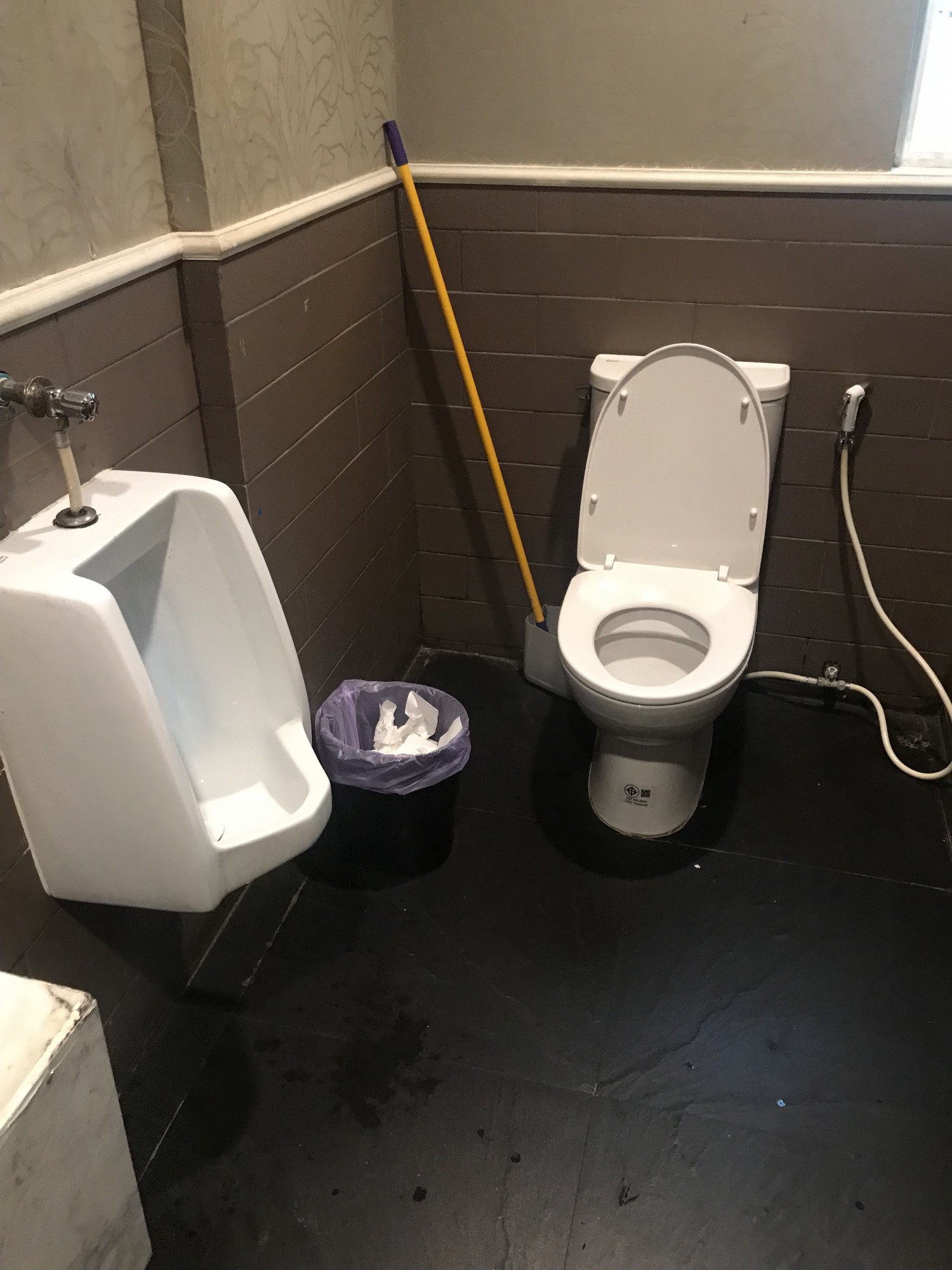 Urinal and regular bathroom pan 
Toilet larger than normal but regular size door