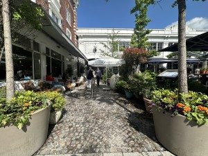 Main entrance. There is a plant on both sides of the entrance, followed by a long textured pathway straight ahead.