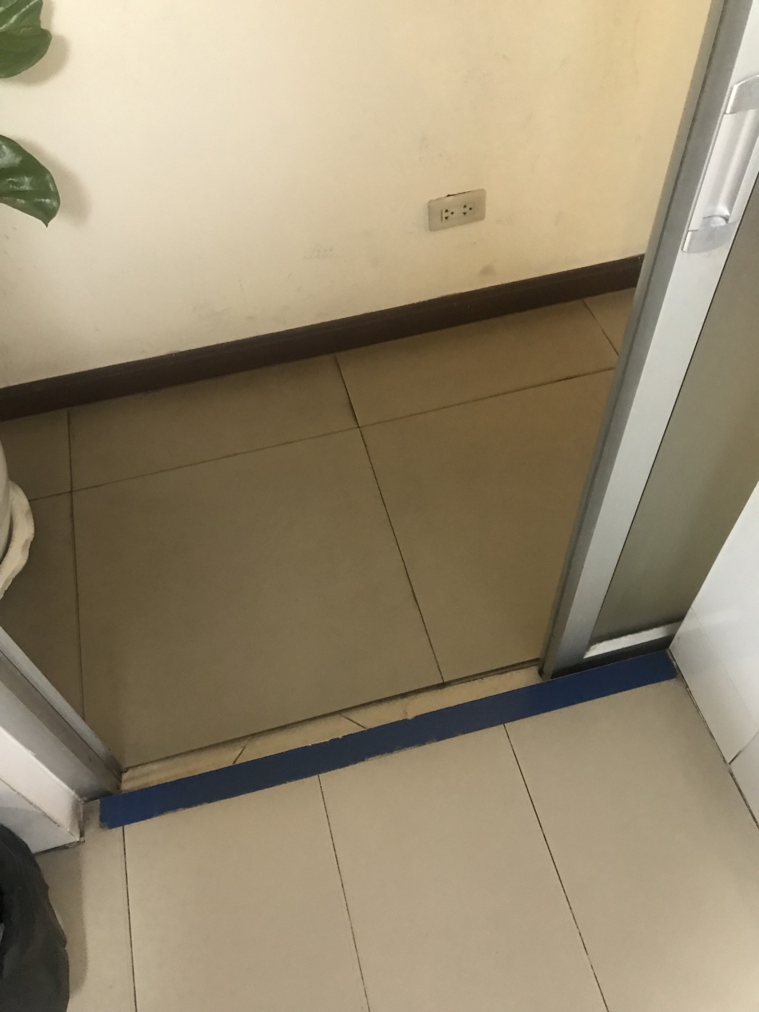 Sliding door with small step down into bathroom -Step about  10 cm