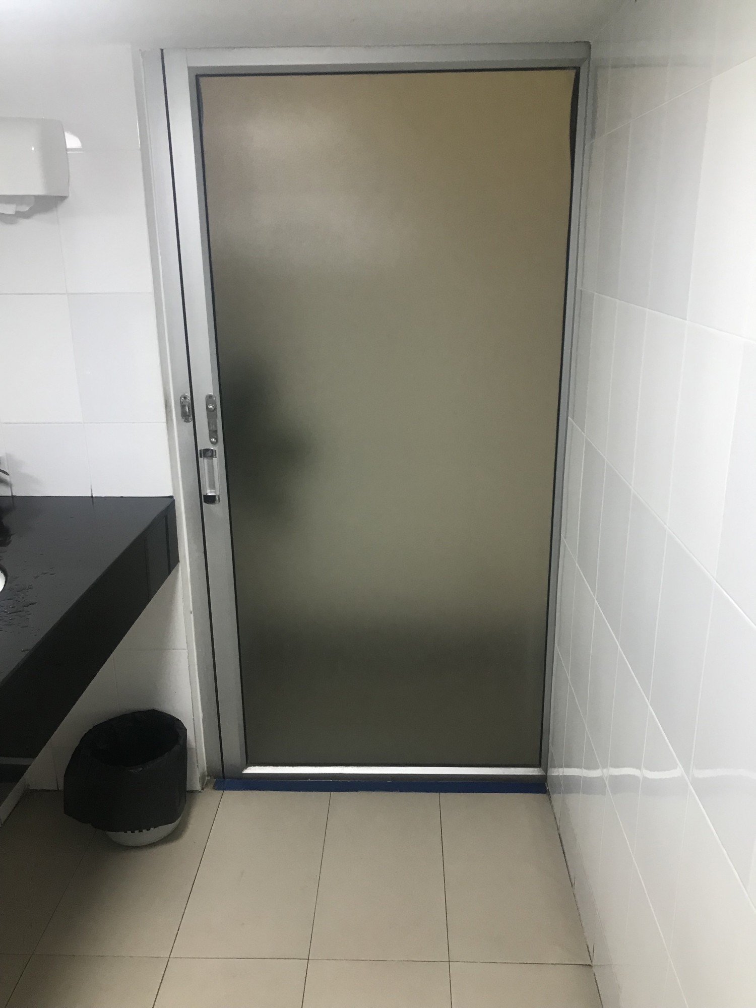 Door withsmall step down into the bathroom step is about 10 cm