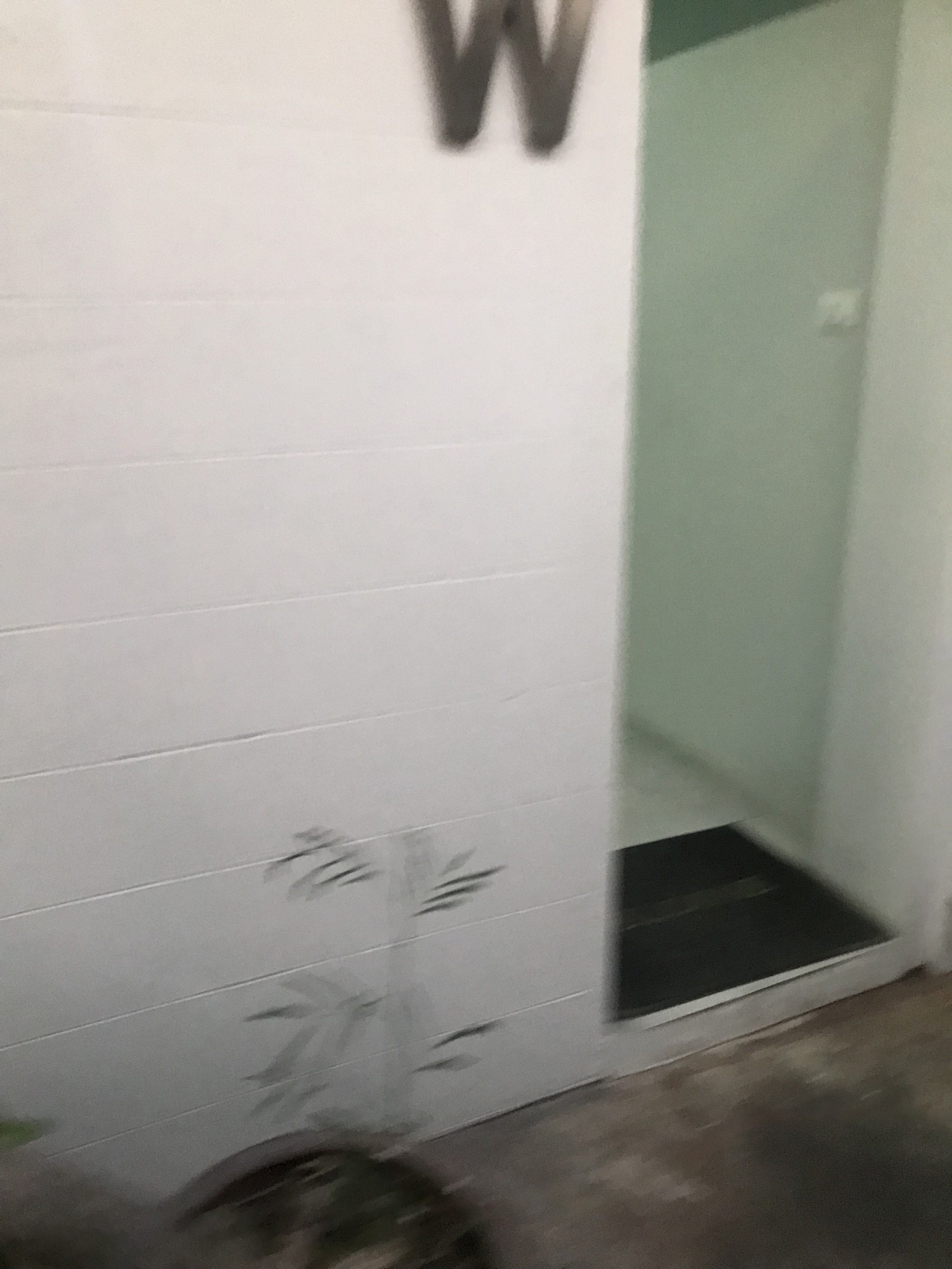 Ladies bathroom with step