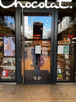 Single door at main entrance. Long vertical handle on left side of door, push to open. Small bump at foot of door.