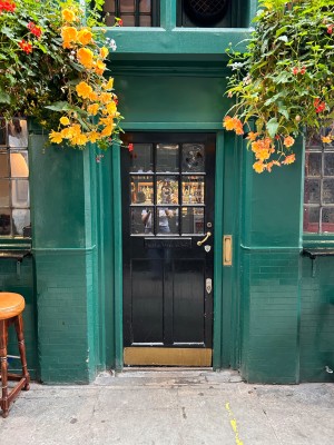 Black gloss door, set in green wall. Push door from the right to open with small gold handle. Glass upper half above.