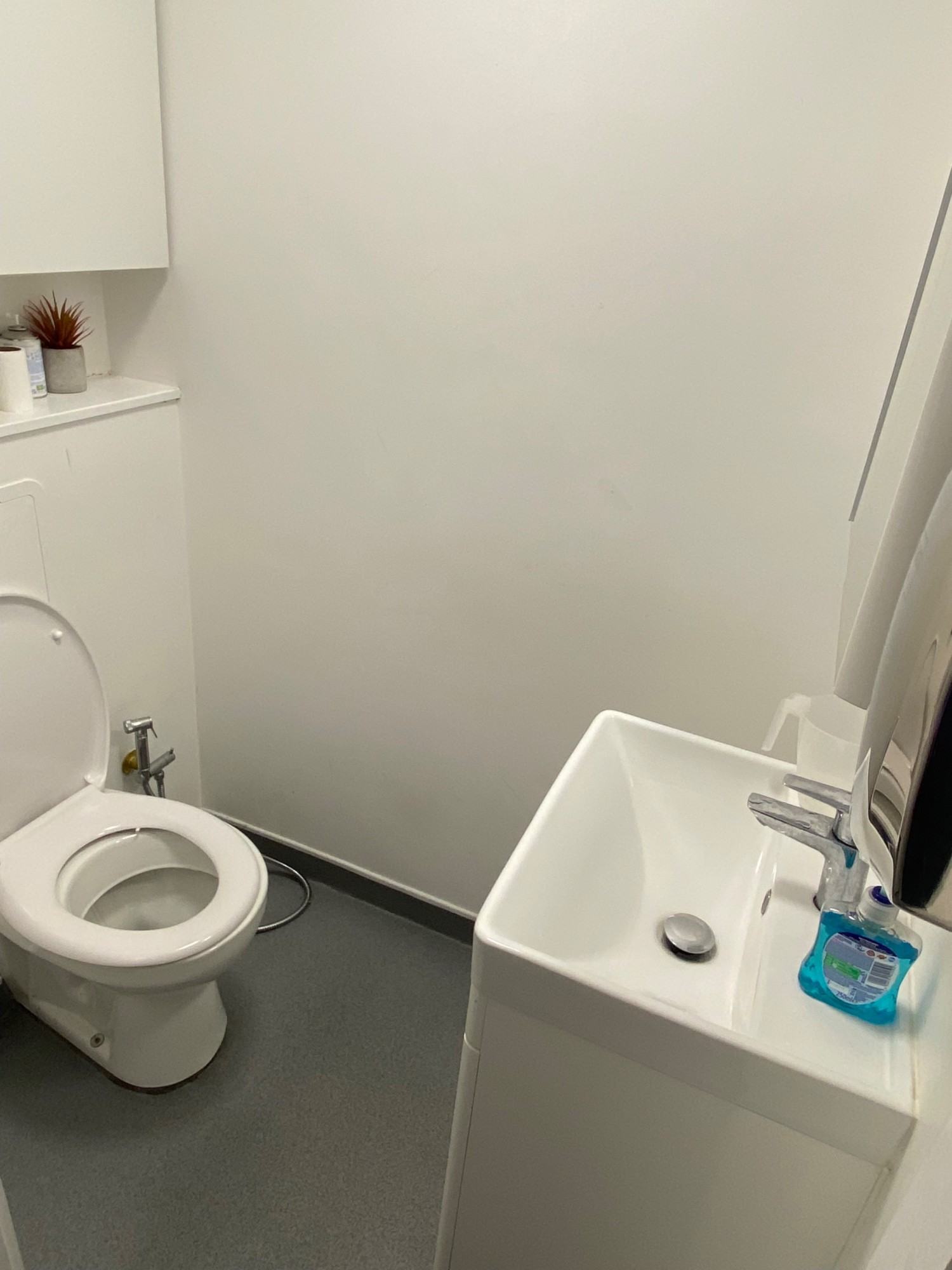 View of bathroom as you come through door. Toilet on left and sink on right.