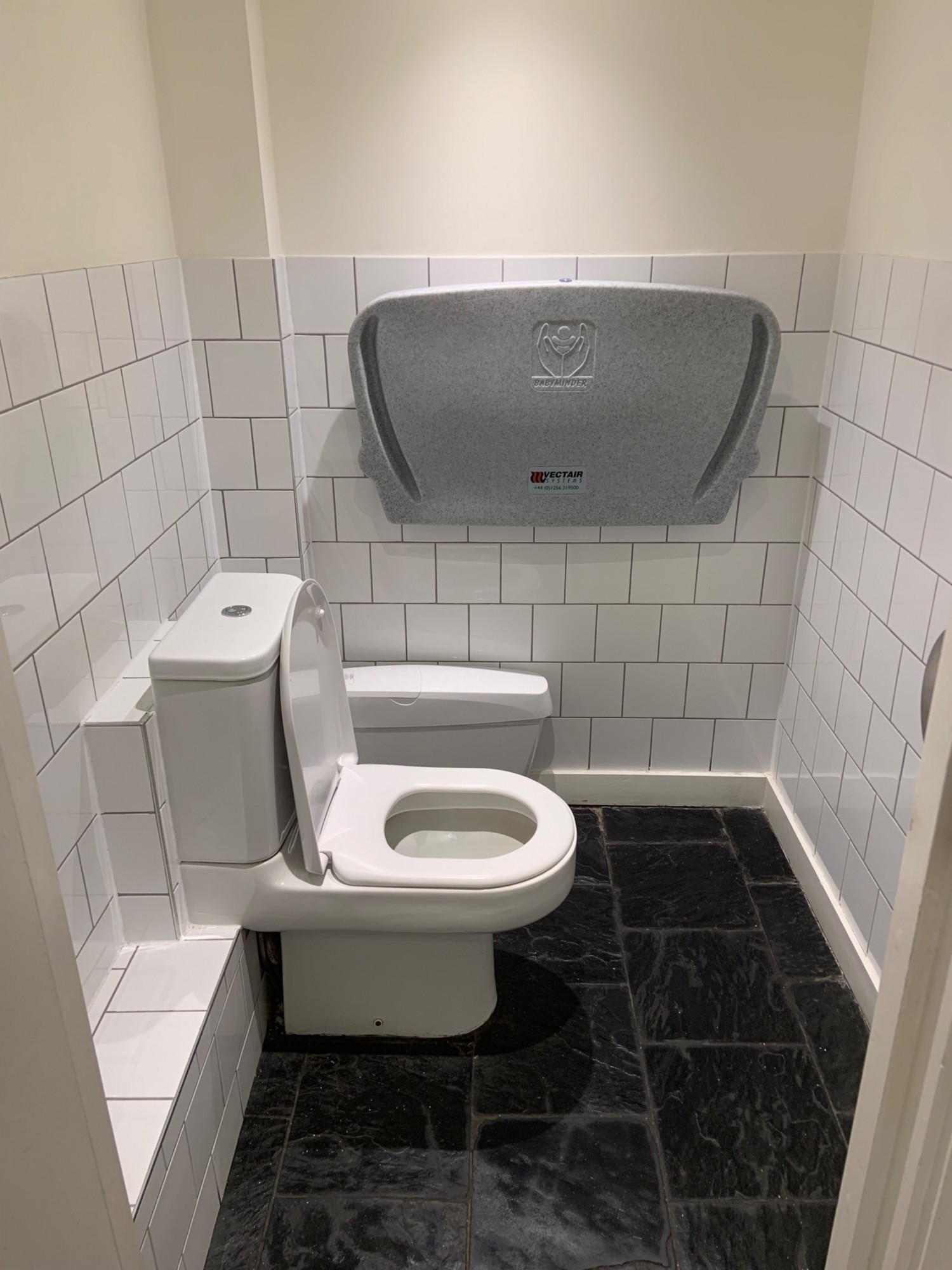 View from doorway to bathroom. Toilet in centre of left wall. Sanitary bin behind. Baby changing table along back wall.