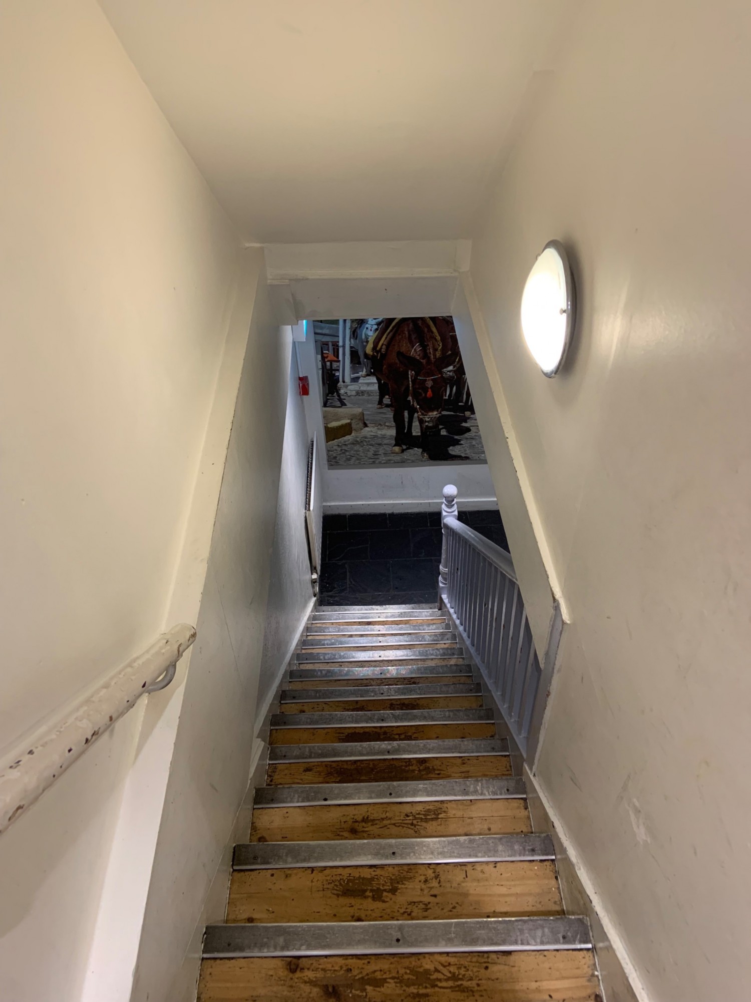 View from top of stairs looking down. Handrail at start of left side. Handrail at bottom of right side.