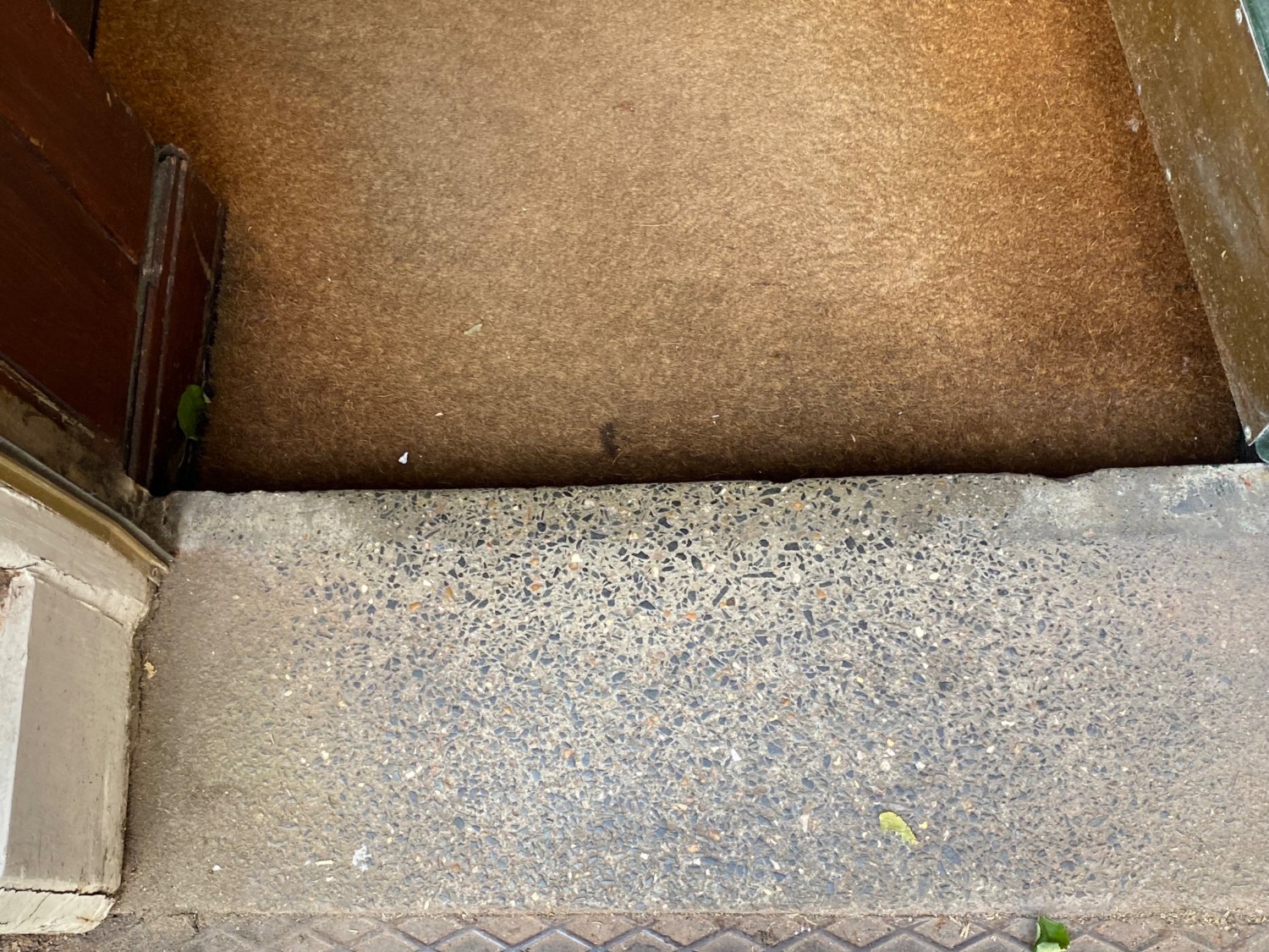 Concrete step along centre of door. Carpeted area following step.