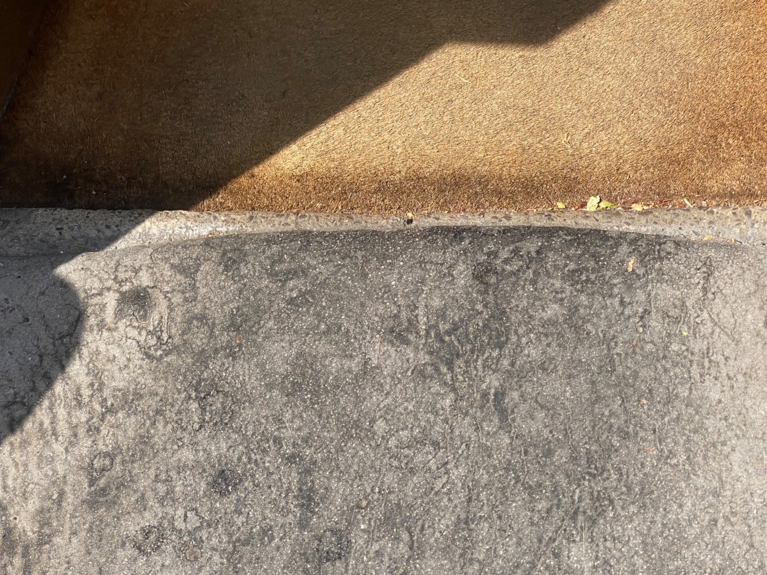 Concrete raised edge at centre of doorway. Carpeted area following.